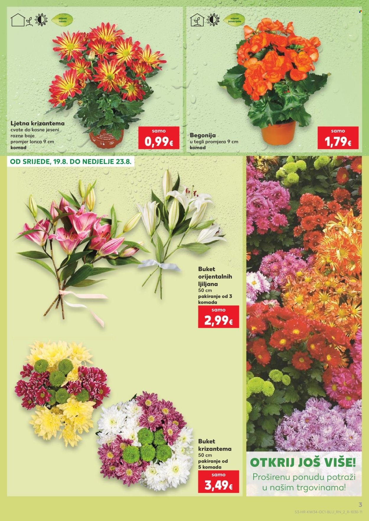 KAUFLAND katalog - Od srijede 19.08.2026.