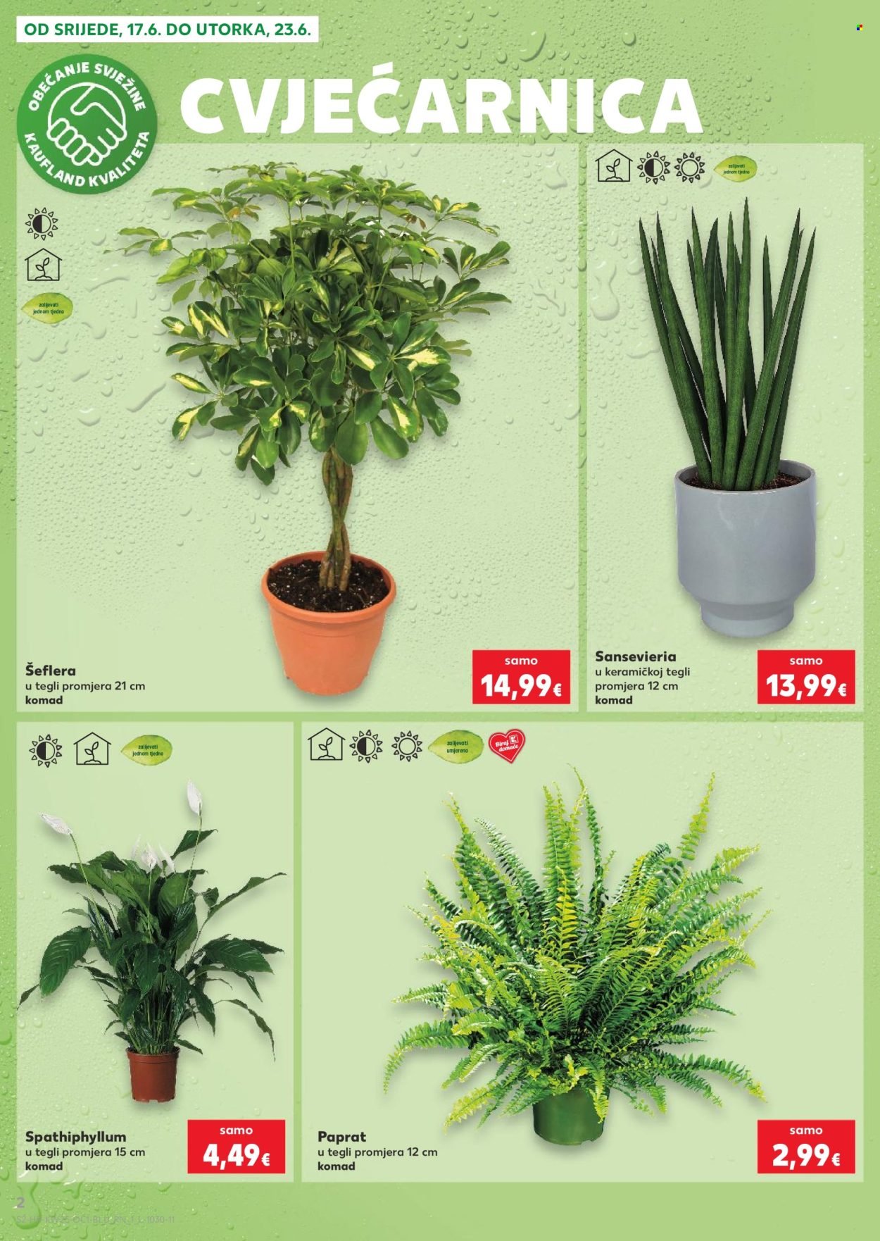 KAUFLAND katalog - NAŠE MI NAJBOLJE PAŠE
