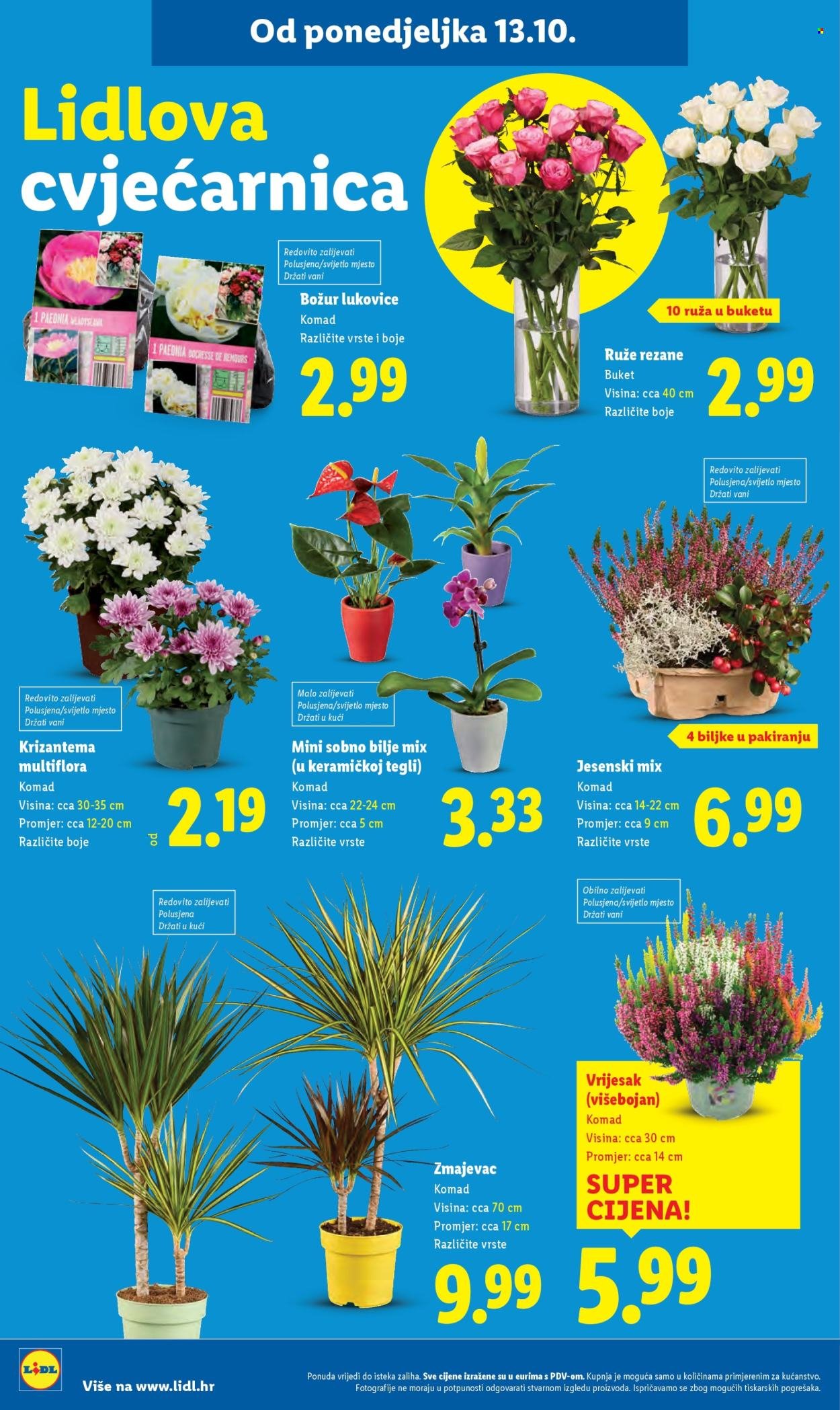 LIDL katalog - Od ponedeljka 13.10.2025.