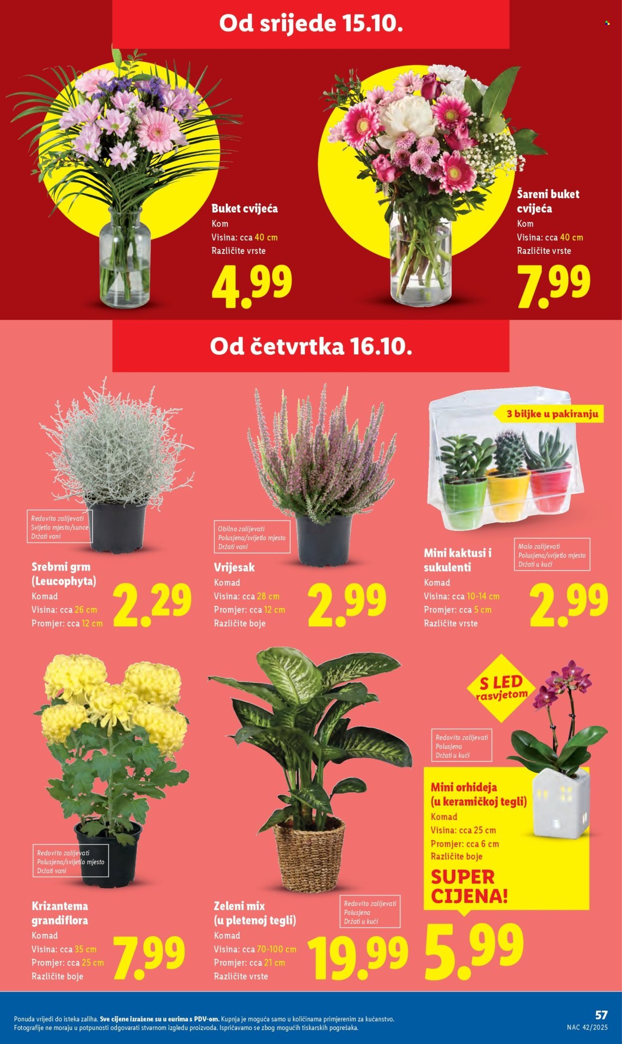 LIDL katalog - Od ponedeljka 13.10.2025.