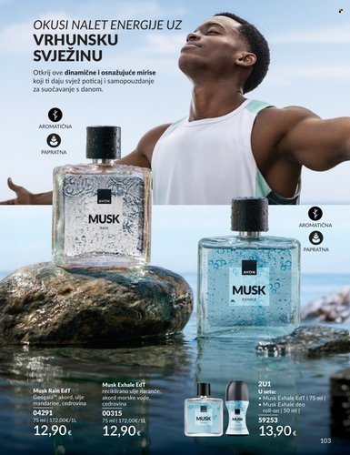 AVON katalog - Perfect nonsence