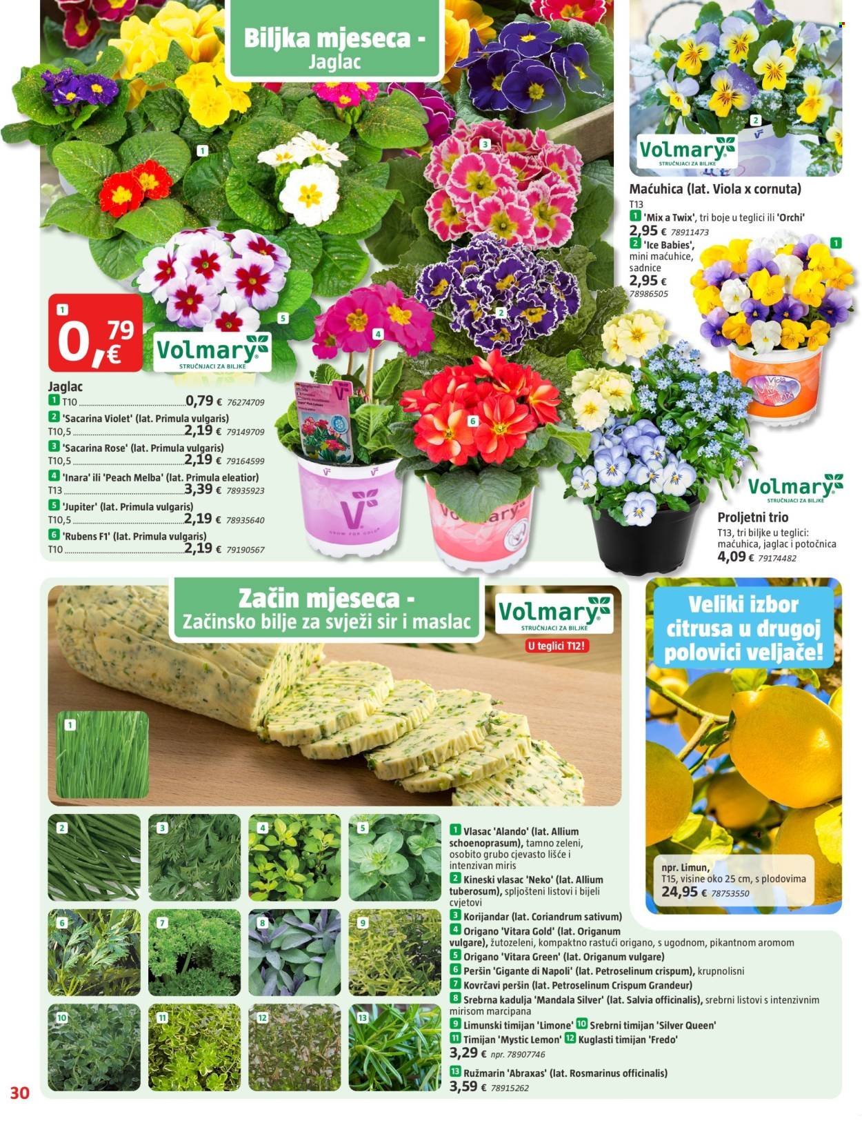 BAUHAUS katalog - Letak Veljača 2026.