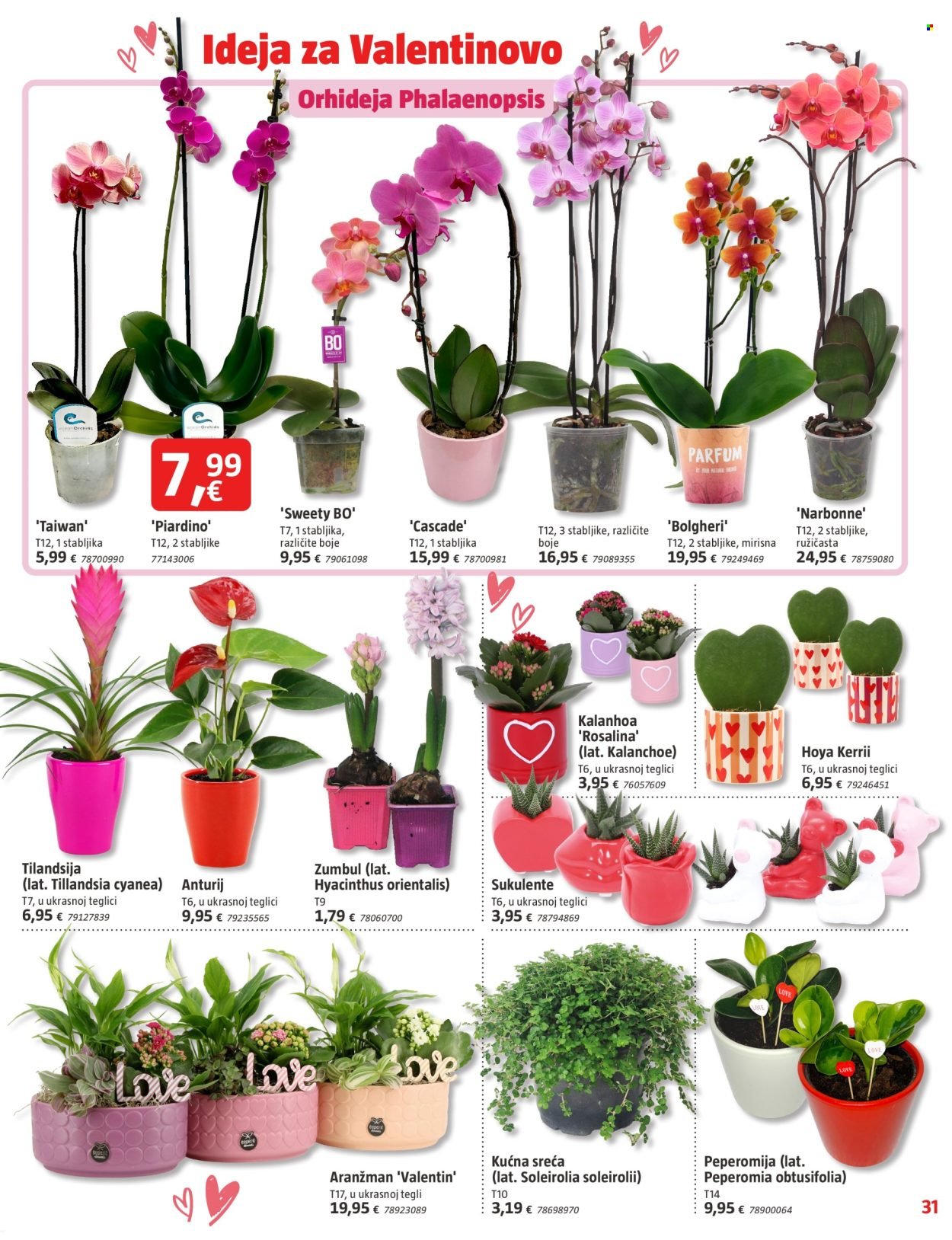 BAUHAUS katalog - Letak Veljača 2026.