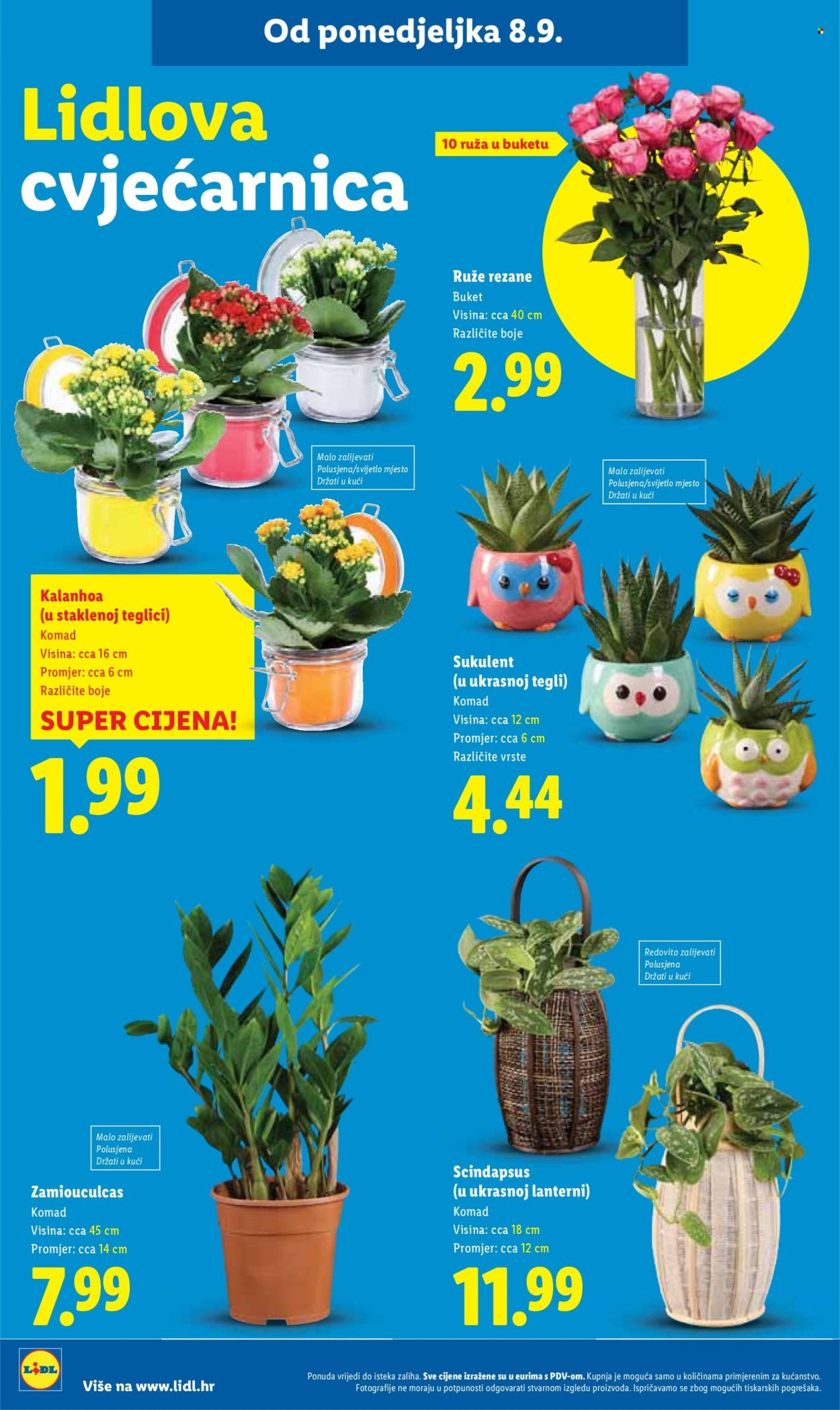 LIDL katalog - Od četvrtka 11.09.2025.
