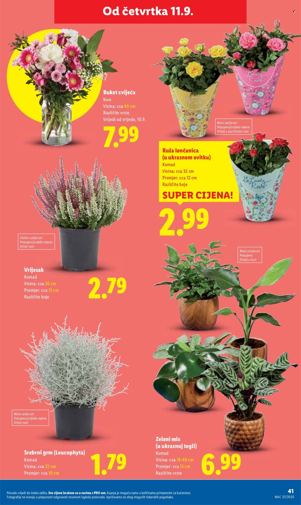 LIDL katalog - Od četvrtka 11.09.2025.