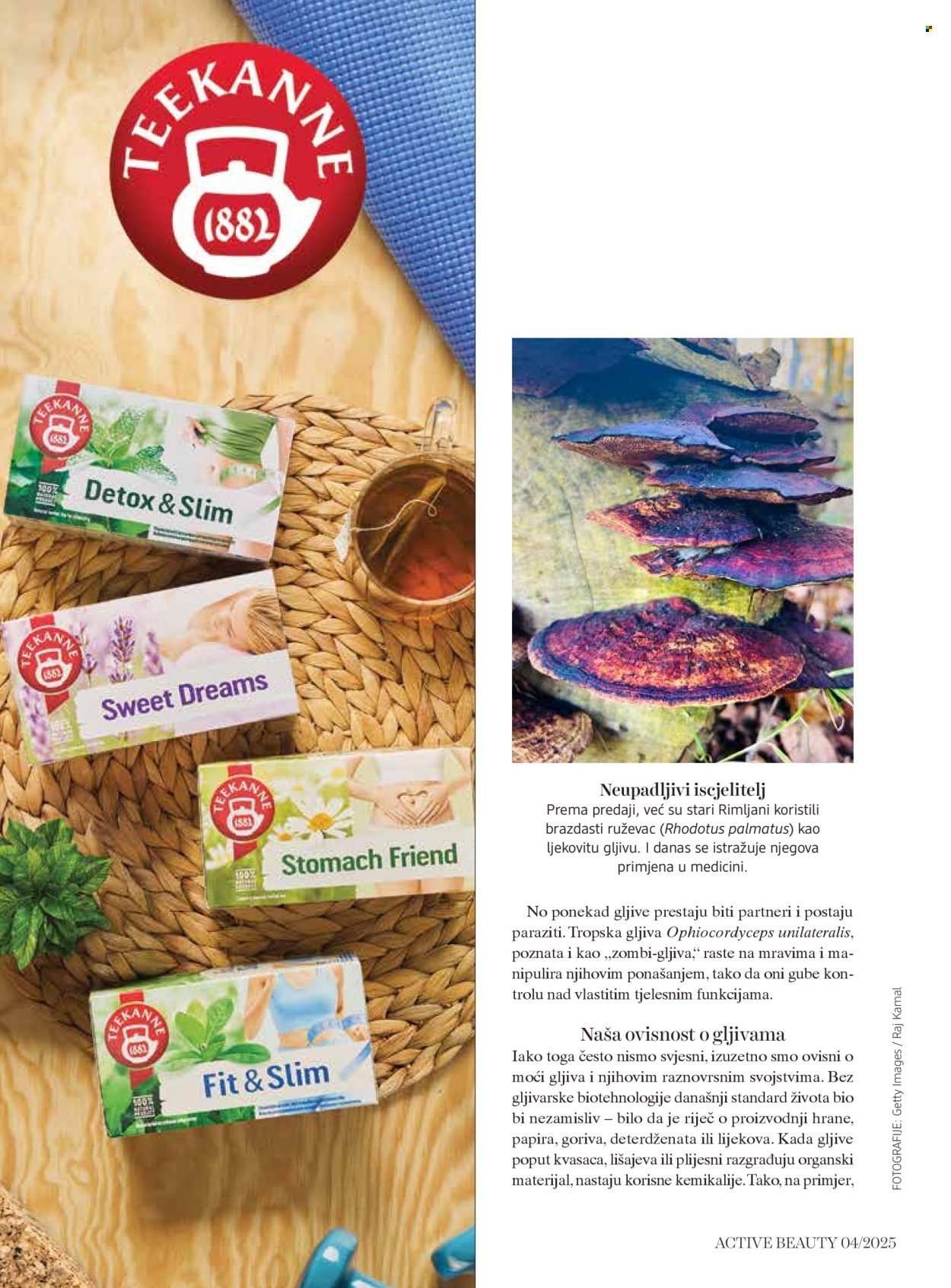 DM katalog - ACTIVE BEAUTY