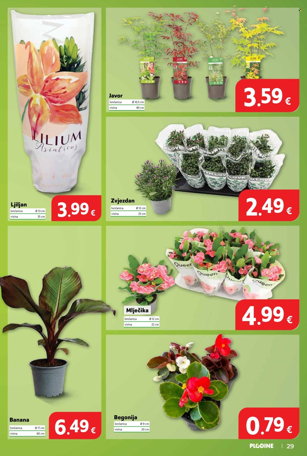 PLODINE katalog - Stigli smo u KNIN!