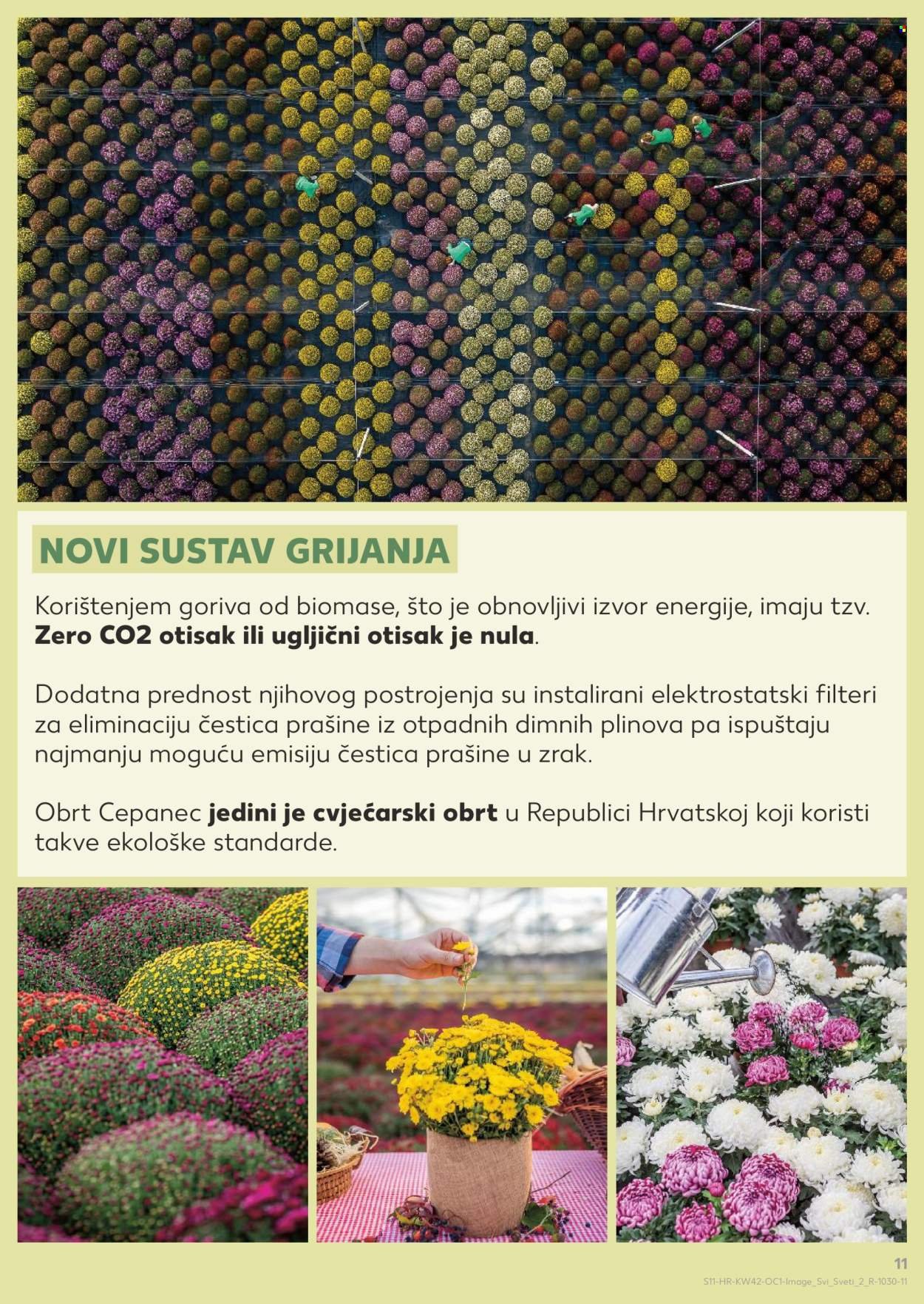 KAUFLAND katalog - Od srijede 15.10.2025.