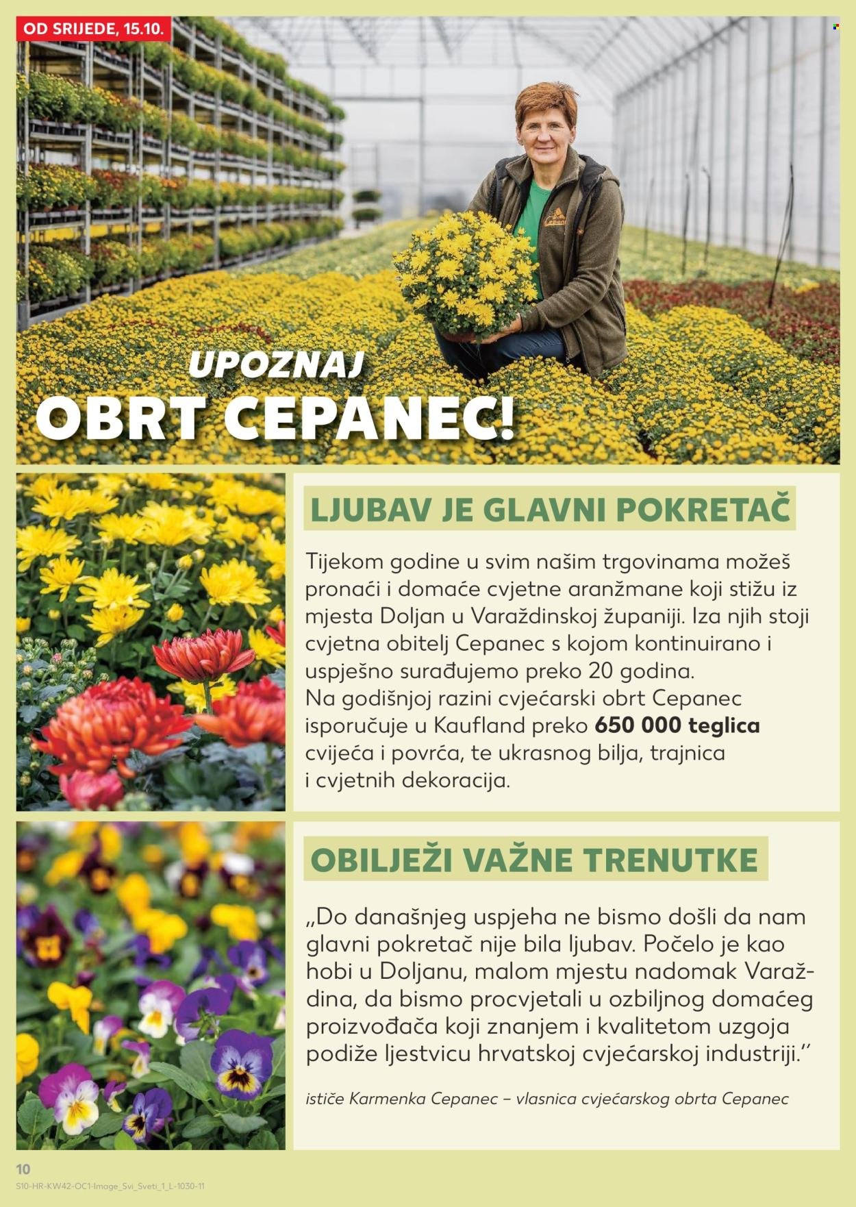 KAUFLAND katalog - Od srijede 15.10.2025.