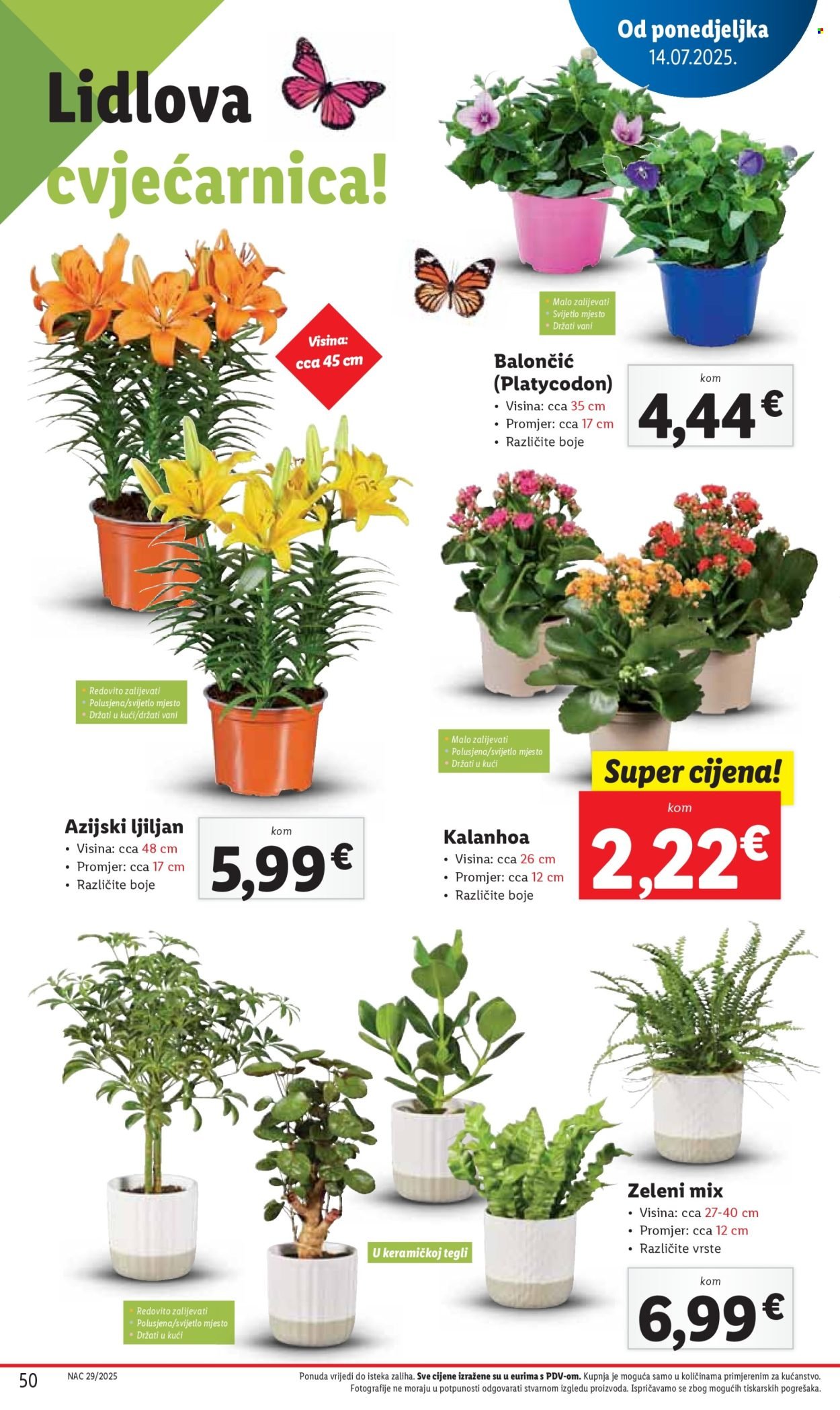 LIDL katalog - Od ponedeljka 14.07.2025.