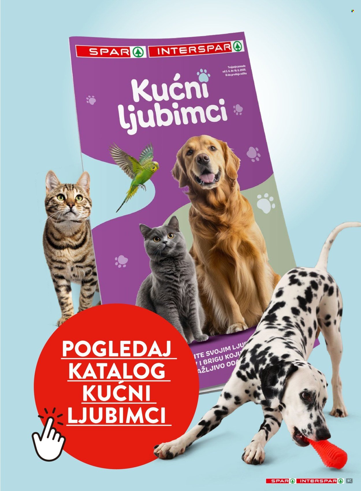 INTERSPAR katalog - Kupuj kao prvak