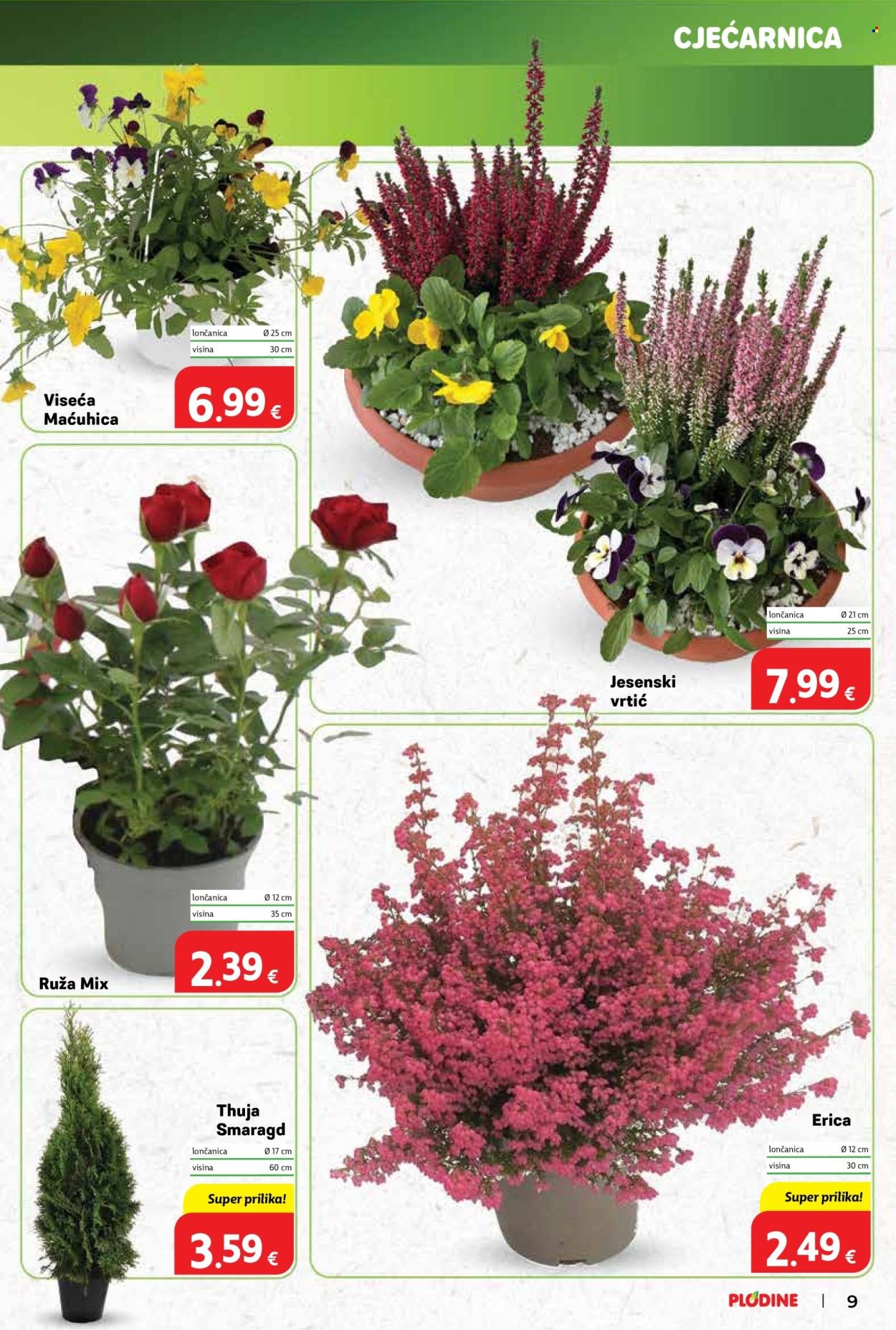PLODINE katalog - Od srijede 15.10.2025.
