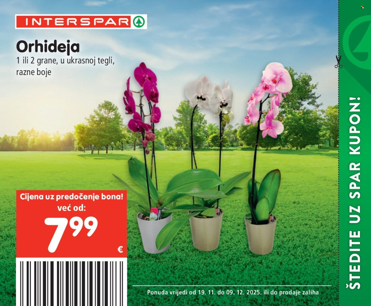 INTERSPAR katalog - INTERSPAR bon