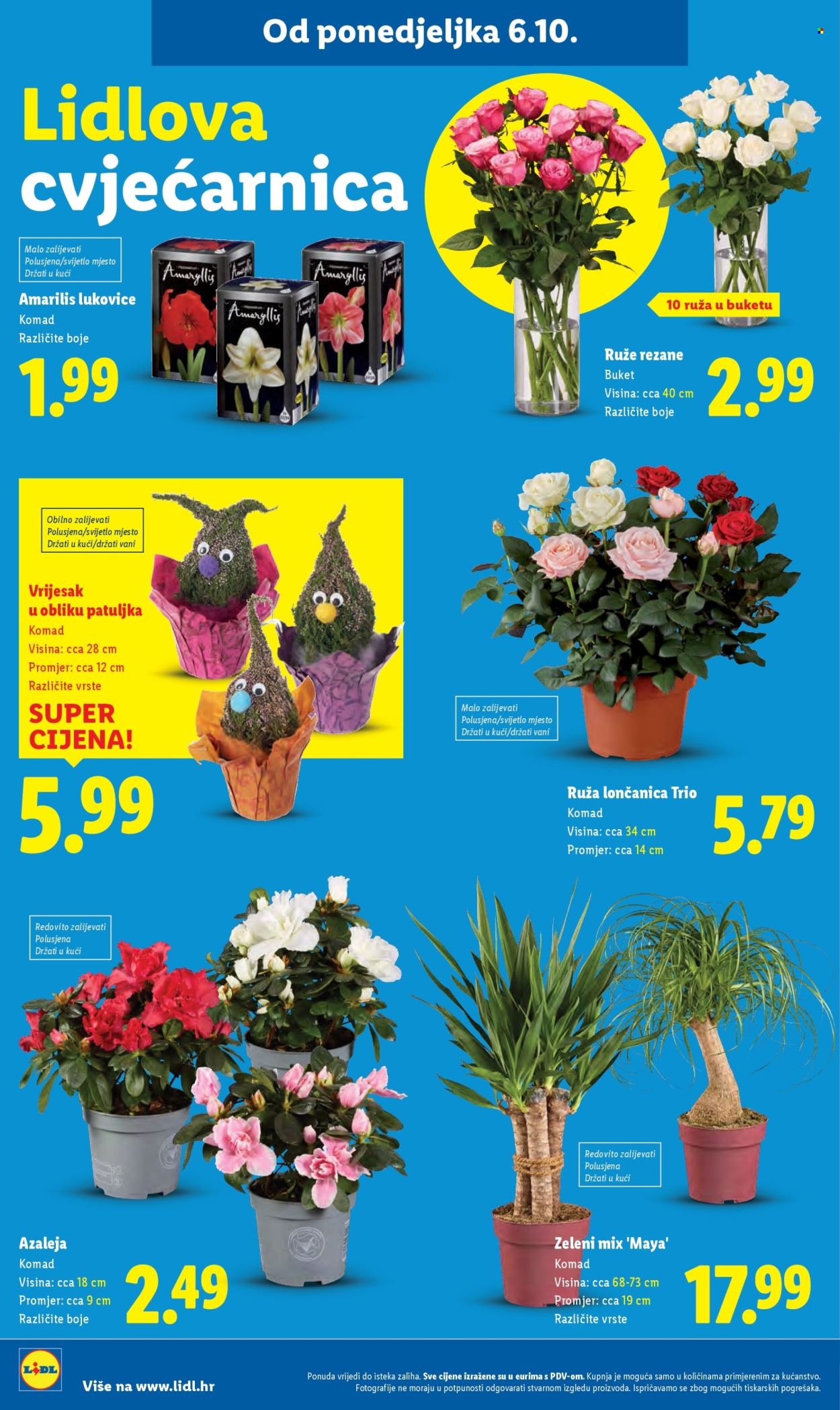 LIDL katalog - Od četvrtka 09.10.2025.