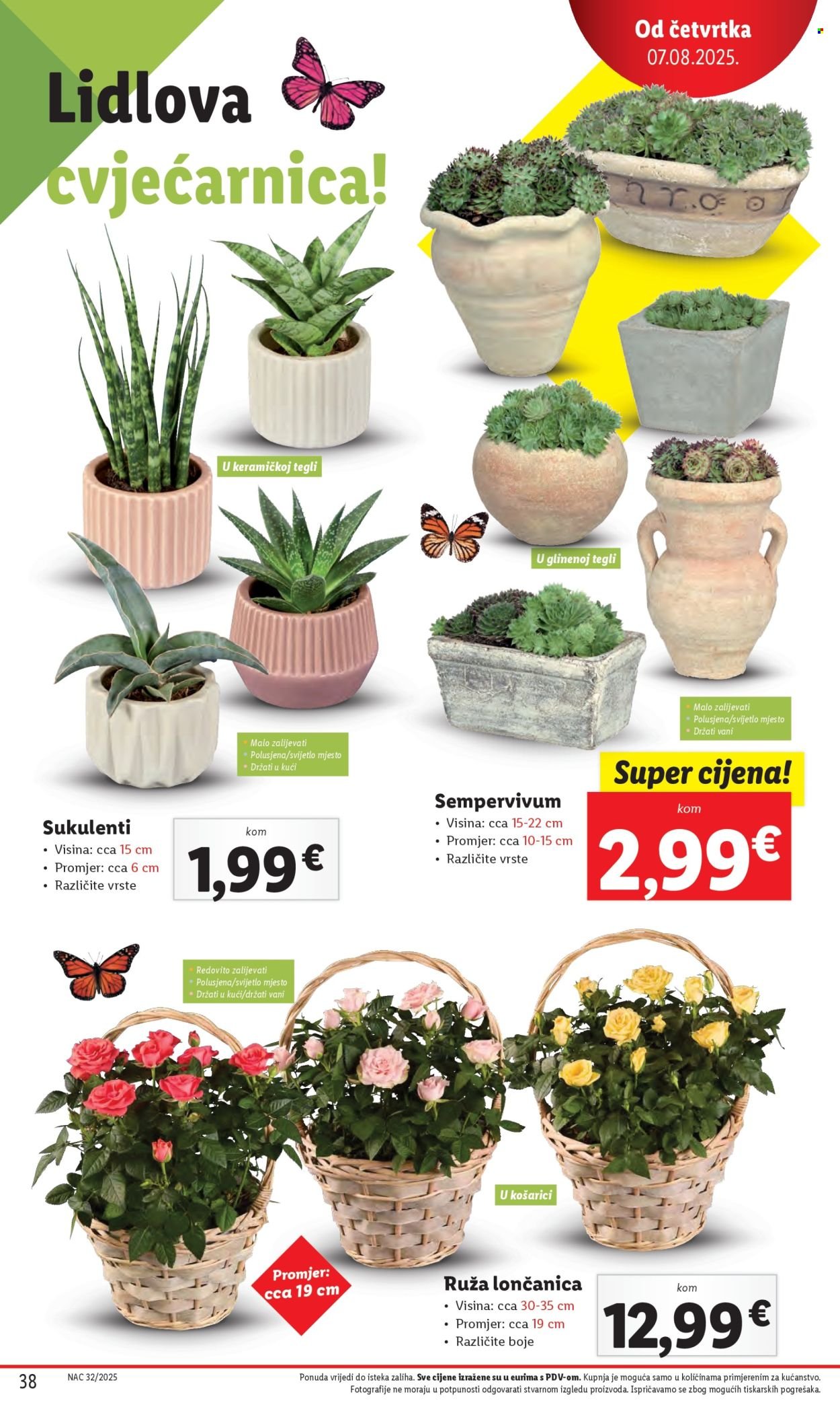 LIDL katalog - Od ponedeljka 04.08.2025.