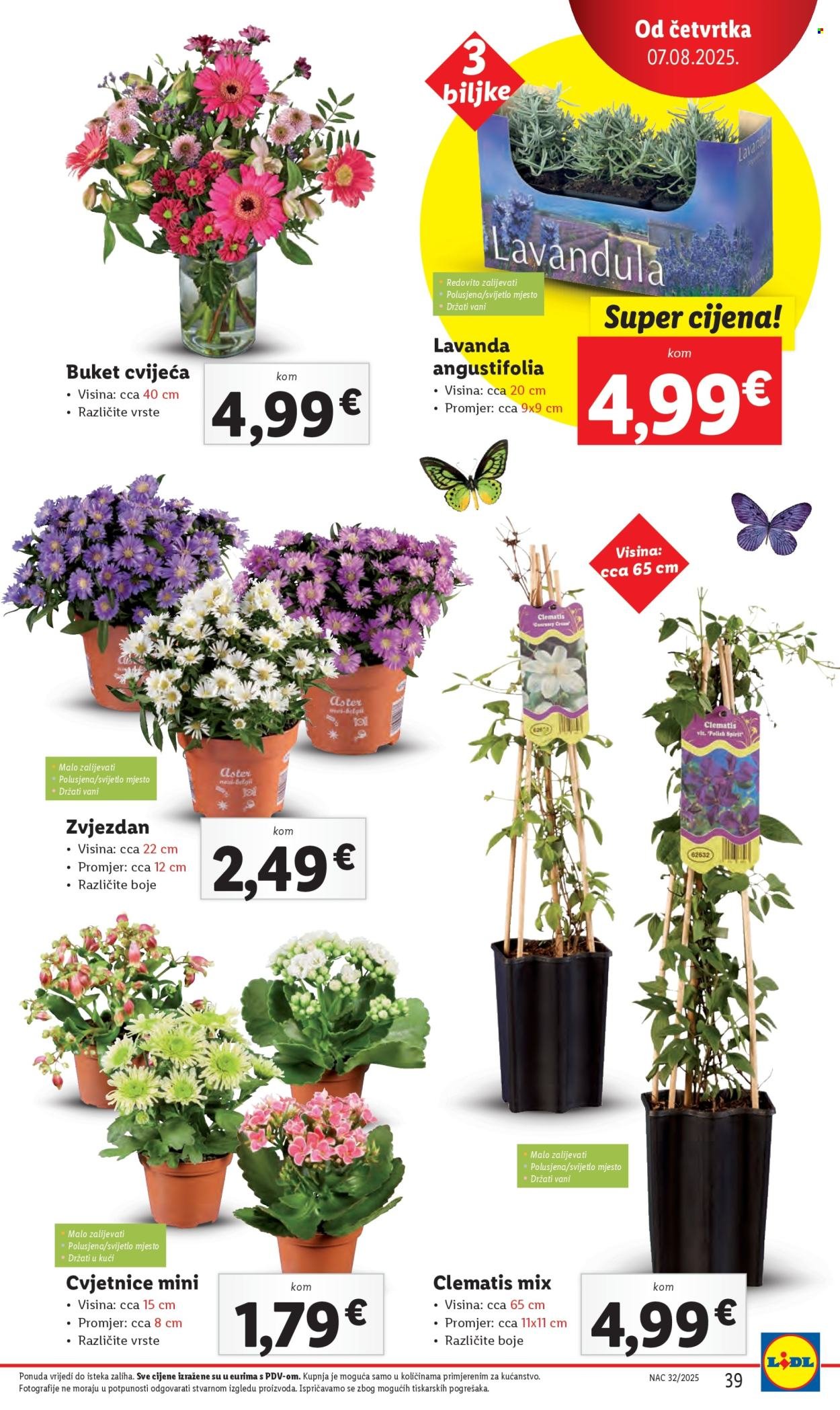 LIDL katalog - Od ponedeljka 04.08.2025.