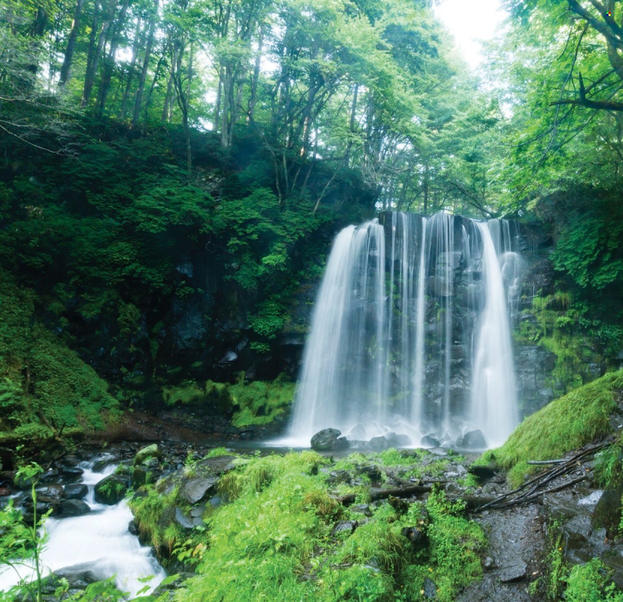 FARMASI katalog - Od četvrtka 01.01.2026.