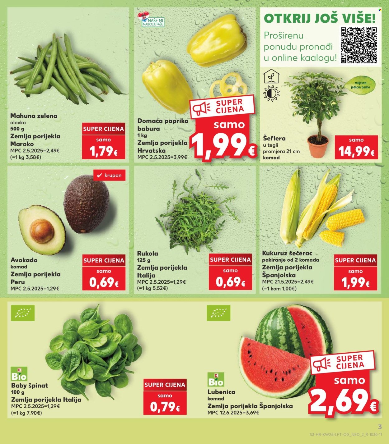 KAUFLAND katalog - OŠTILJ OBITELJSKI ROŠTILJ