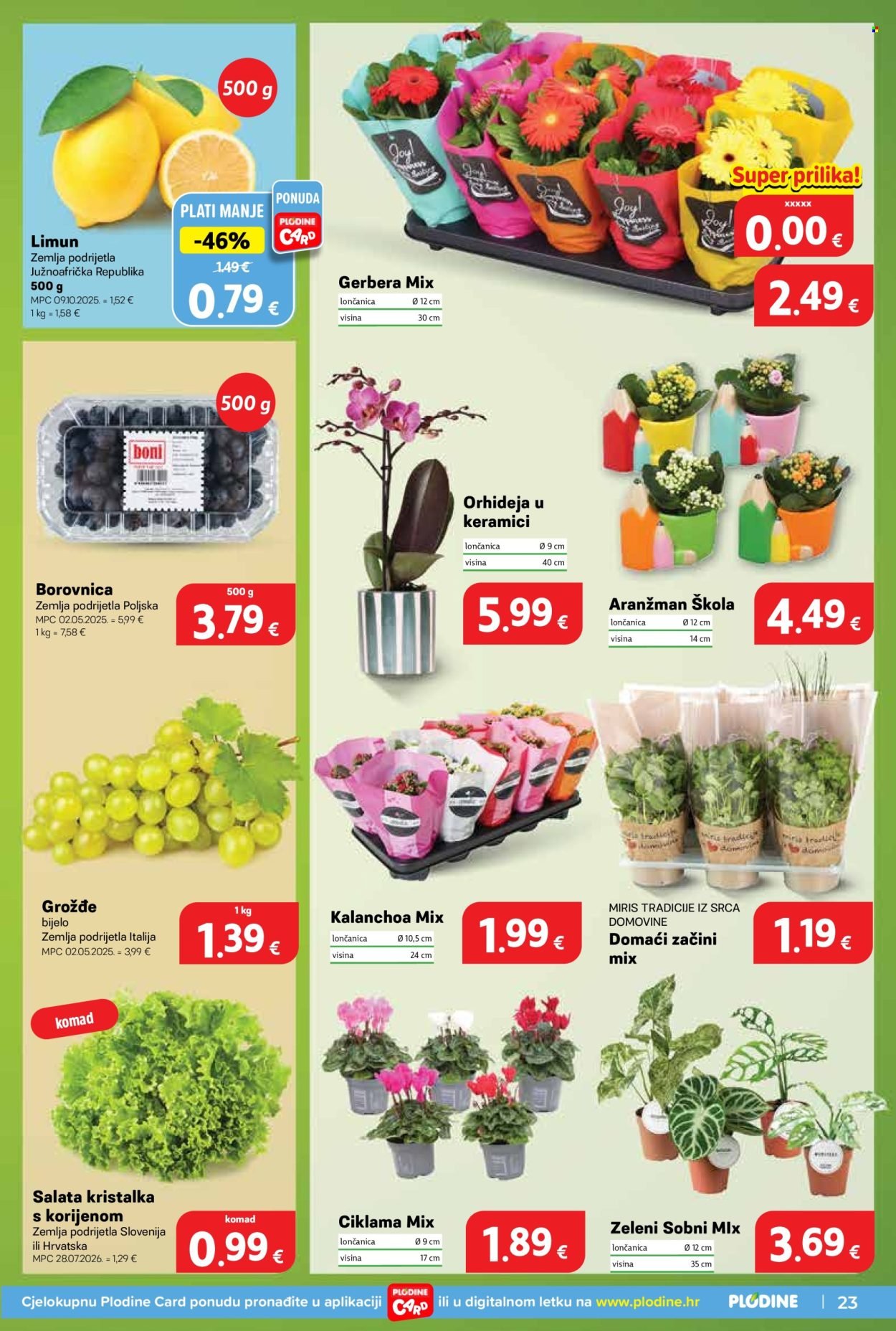 PLODINE katalog - Od srijede 19.08.2026.