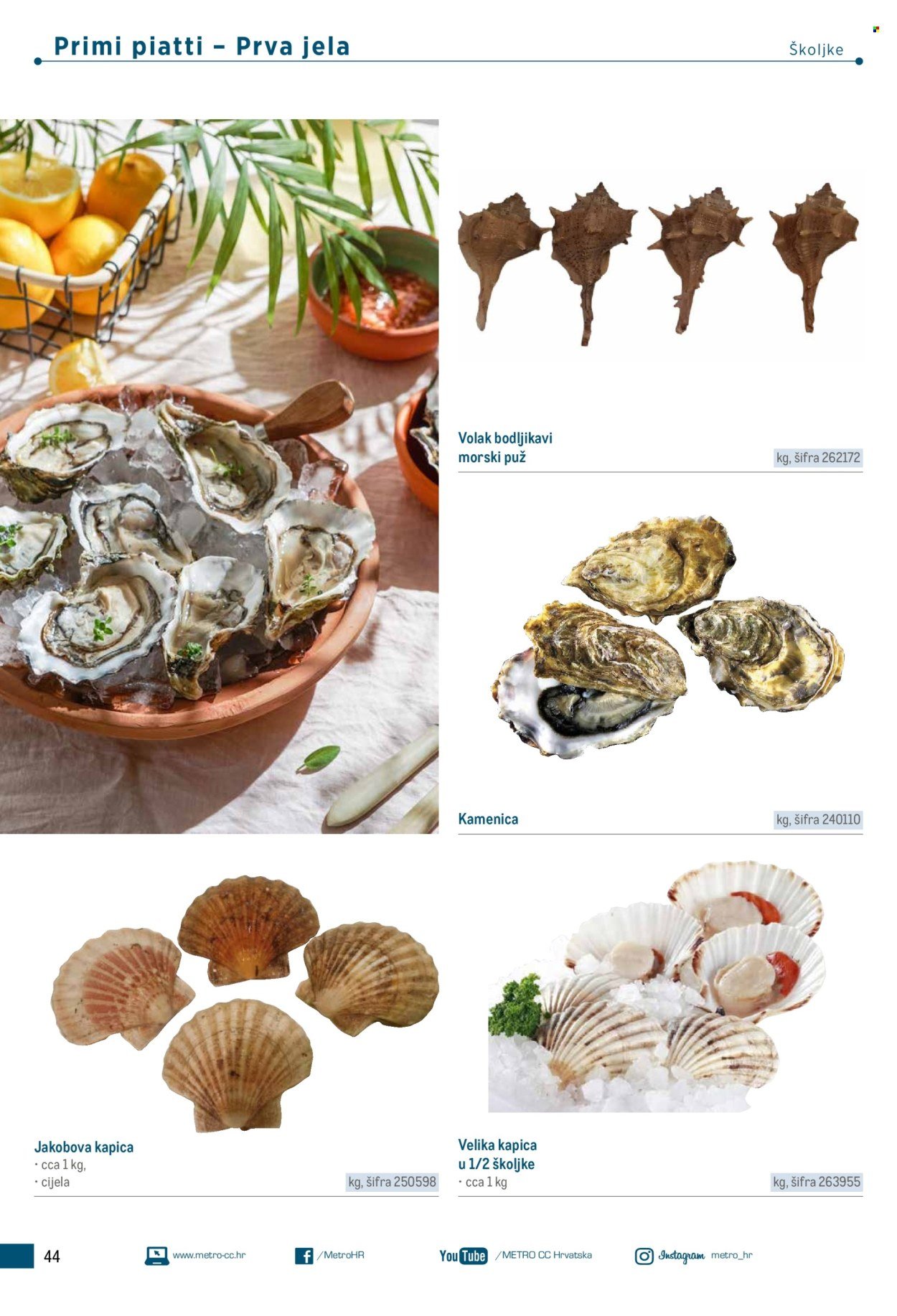 METRO katalog - Poslovna rješenja - Trattoria