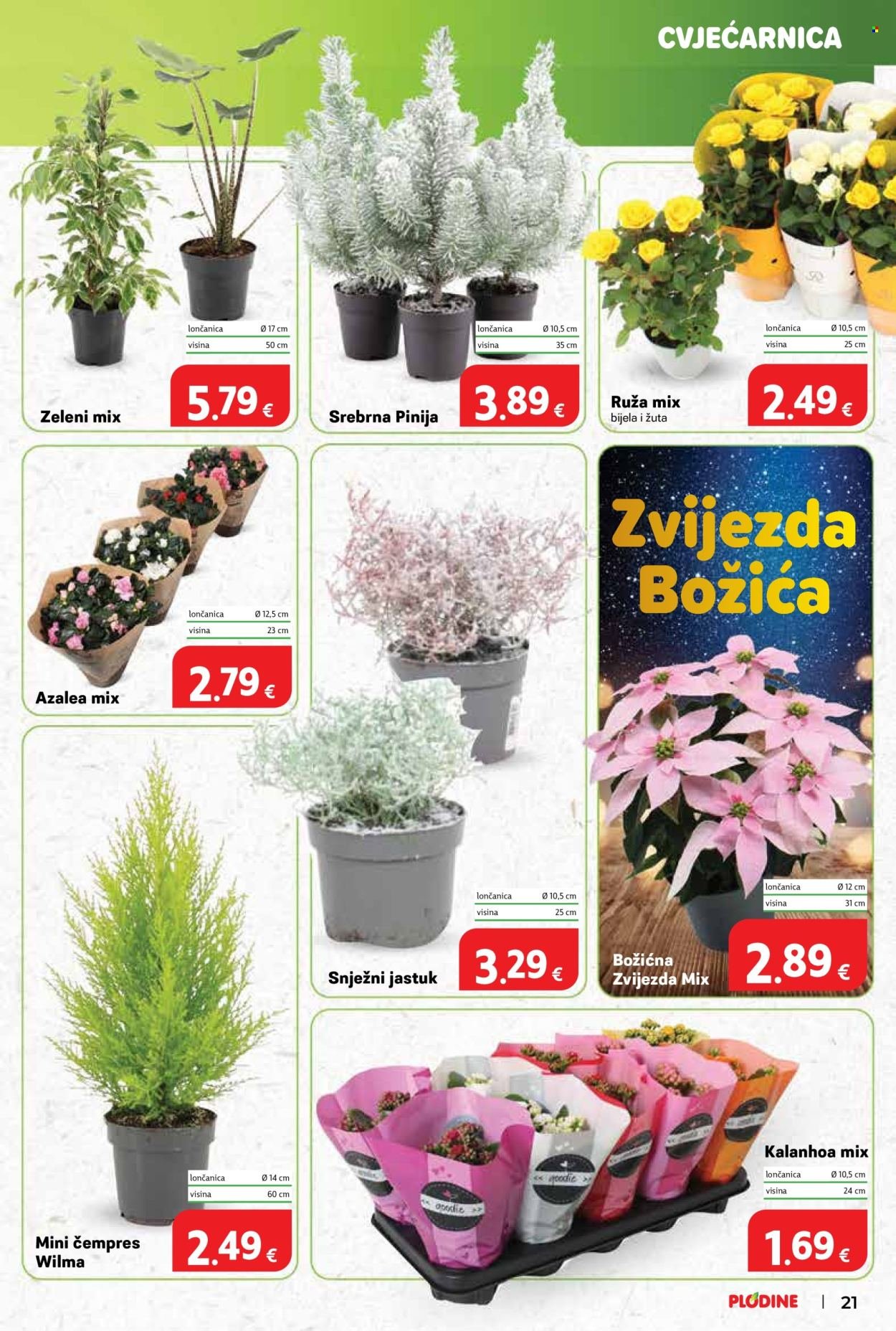 PLODINE katalog - Od srijede 05.11.2025.