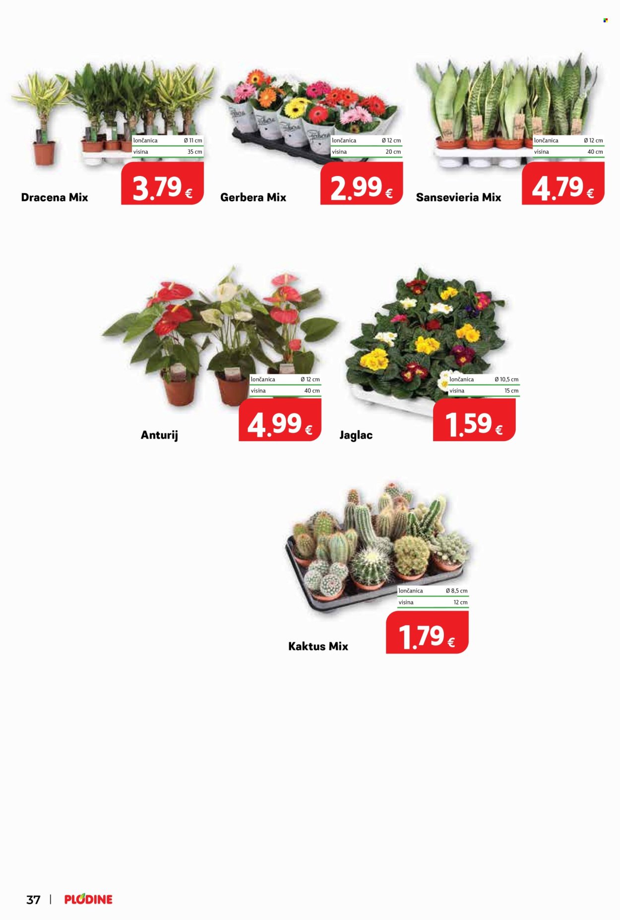 PLODINE katalog - Od petka 02.01.2026.