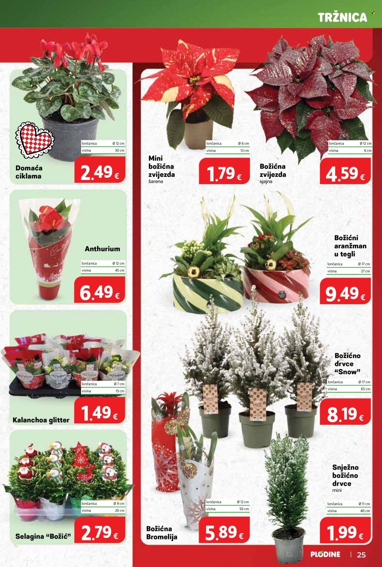 PLODINE katalog - Od srijede 10.12.2025.