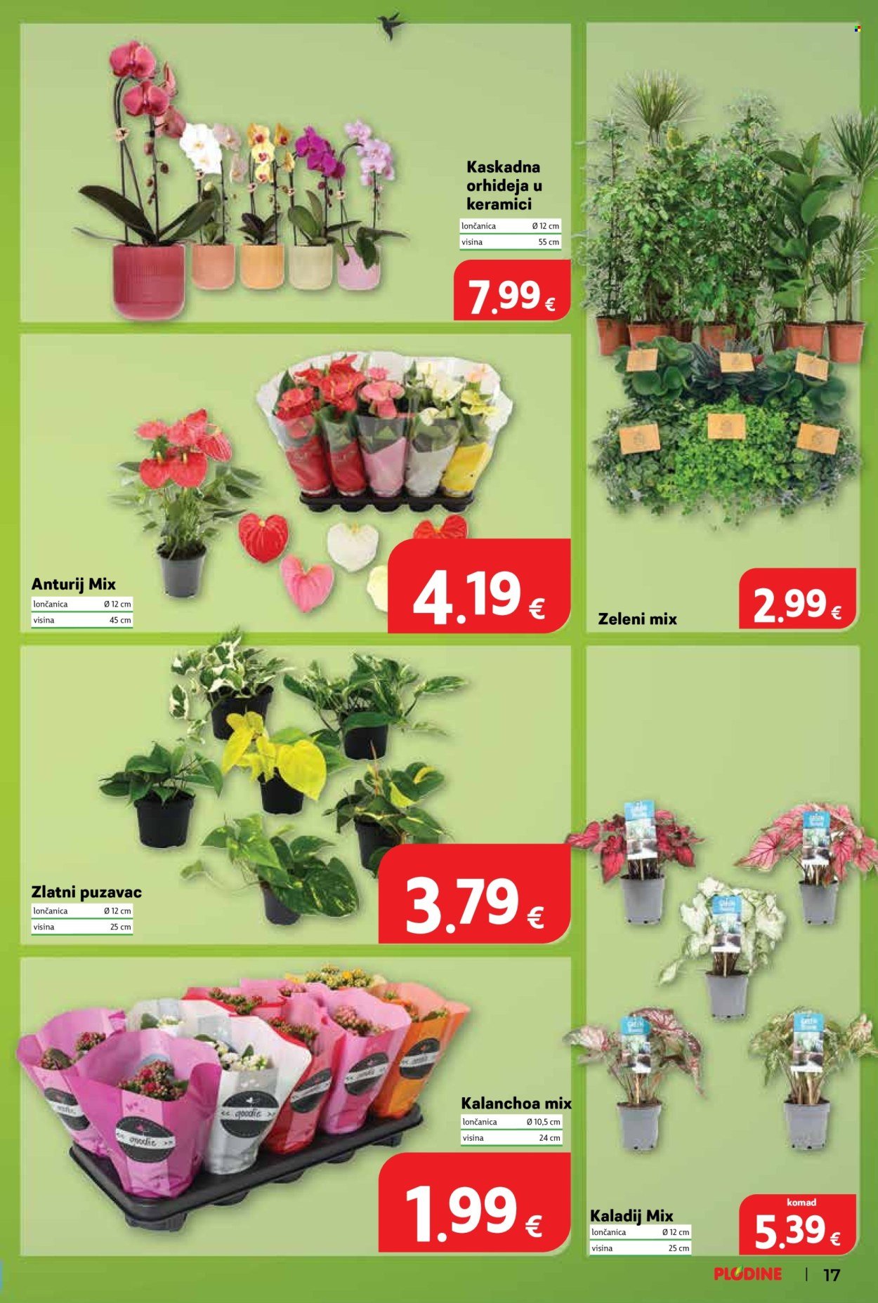 PLODINE katalog - Uvijek od akcije