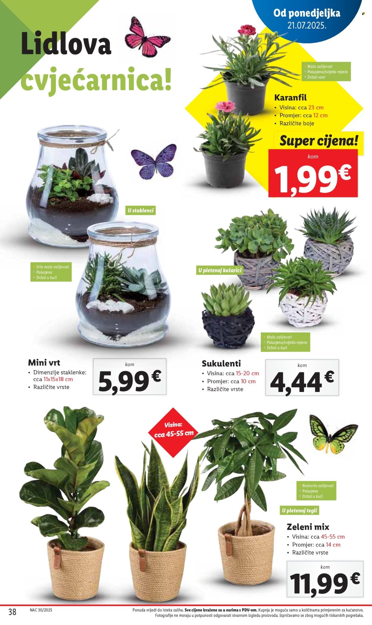 LIDL katalog - Od četvrtka 24.07.2025.