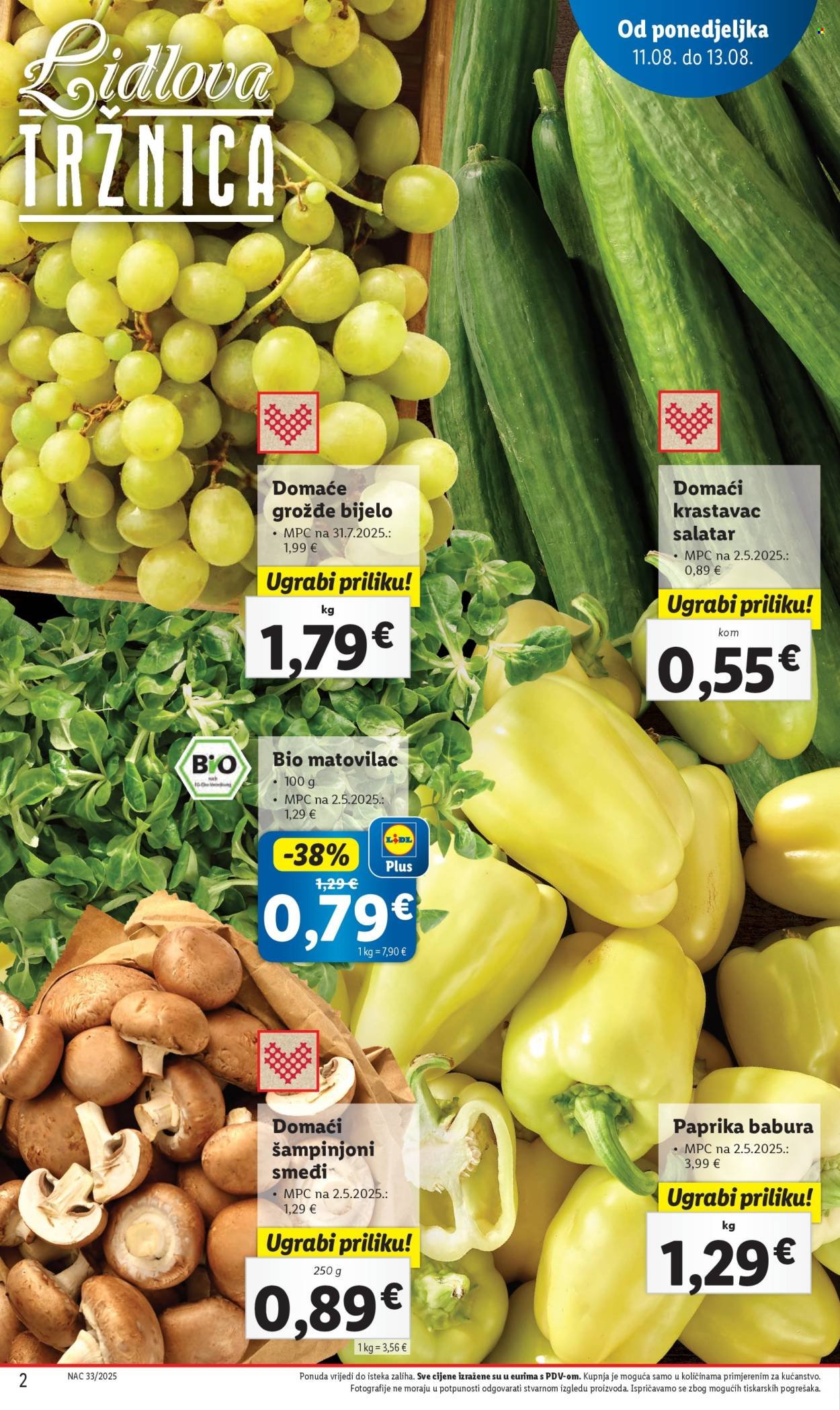 LIDL katalog - Od ponedeljka 11.08.2025.