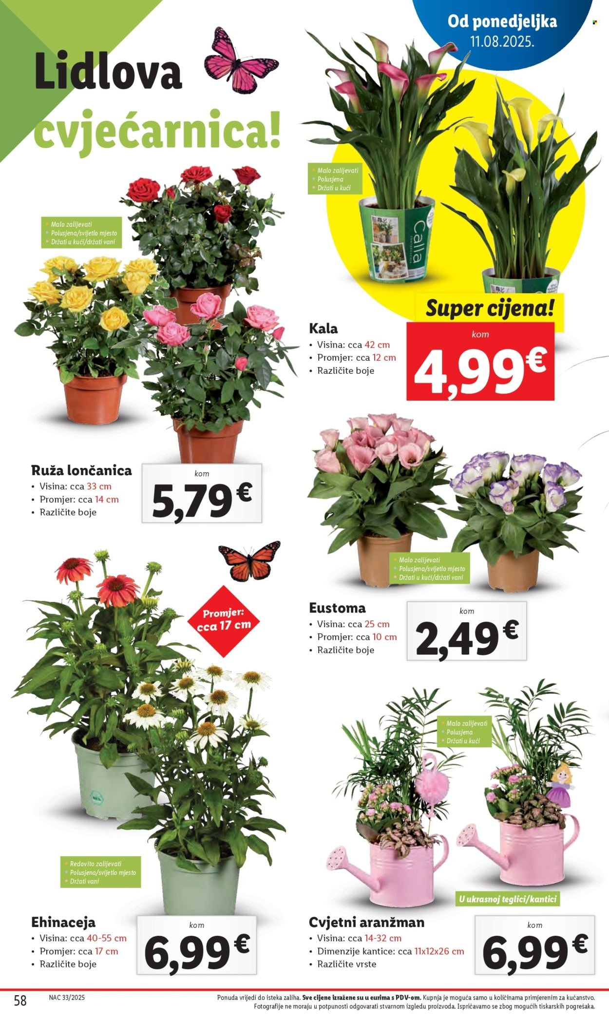 LIDL katalog - Od ponedeljka 11.08.2025.