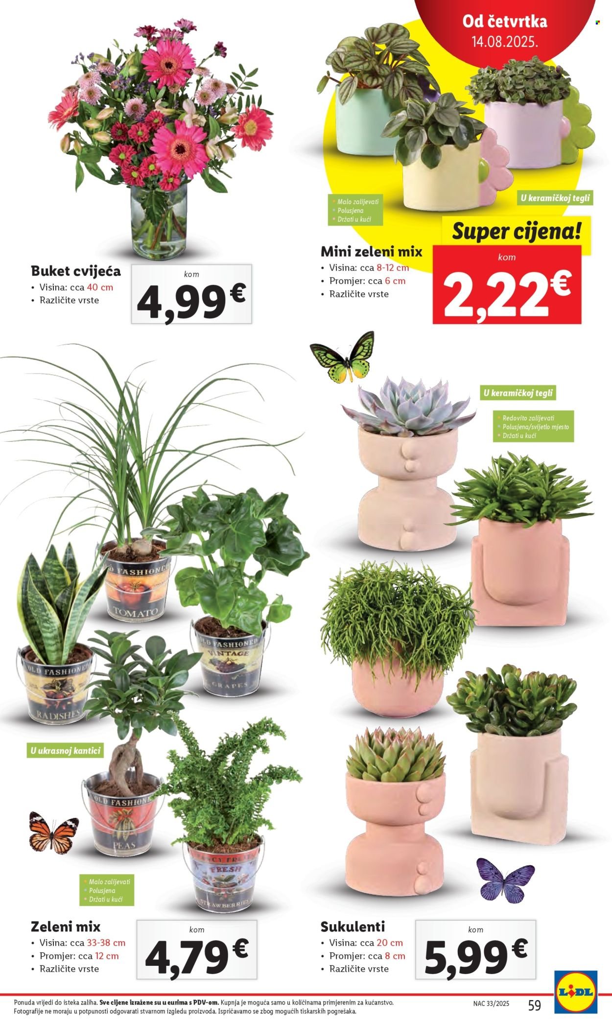 LIDL katalog - Od ponedeljka 11.08.2025.