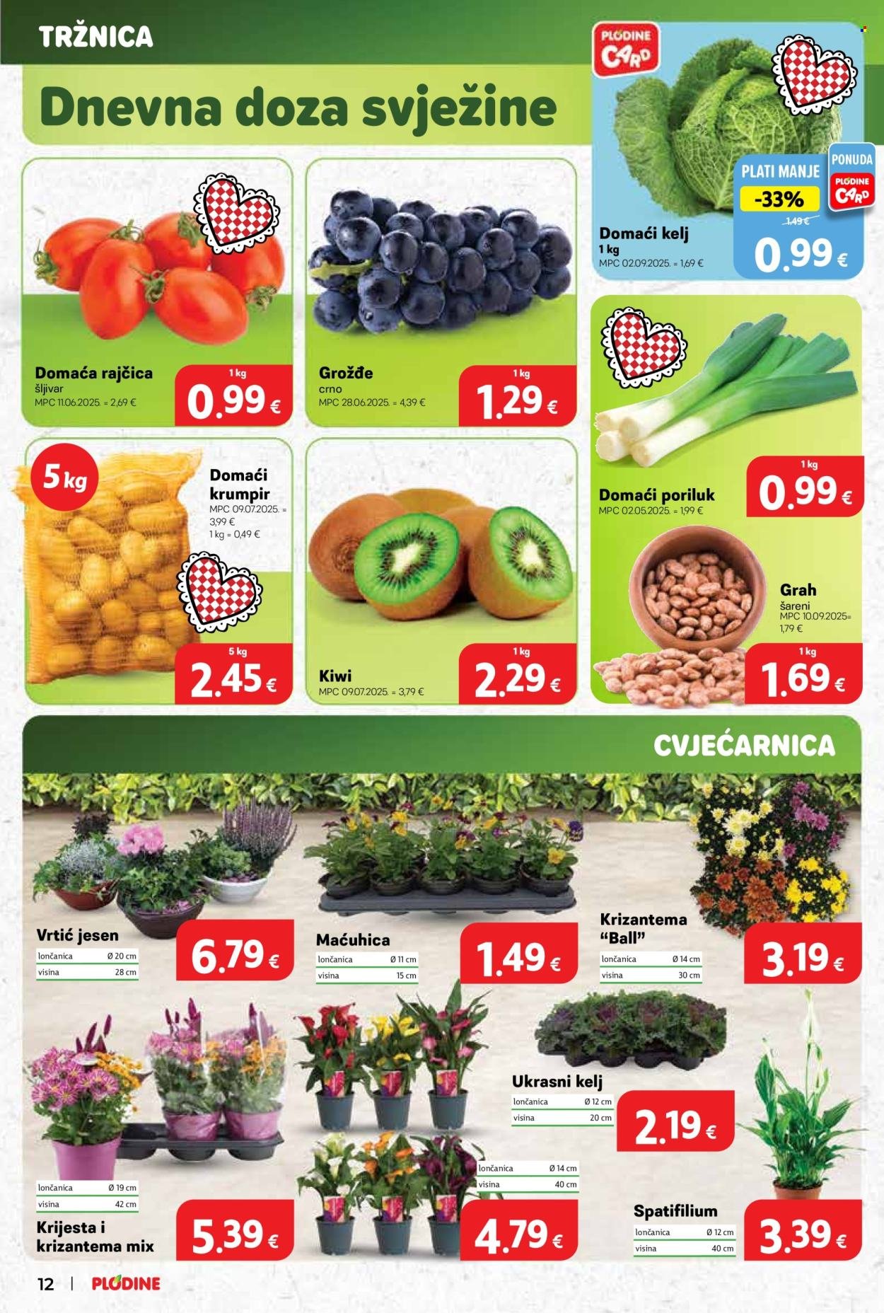 PLODINE katalog - Od srijede 17.09.2025.