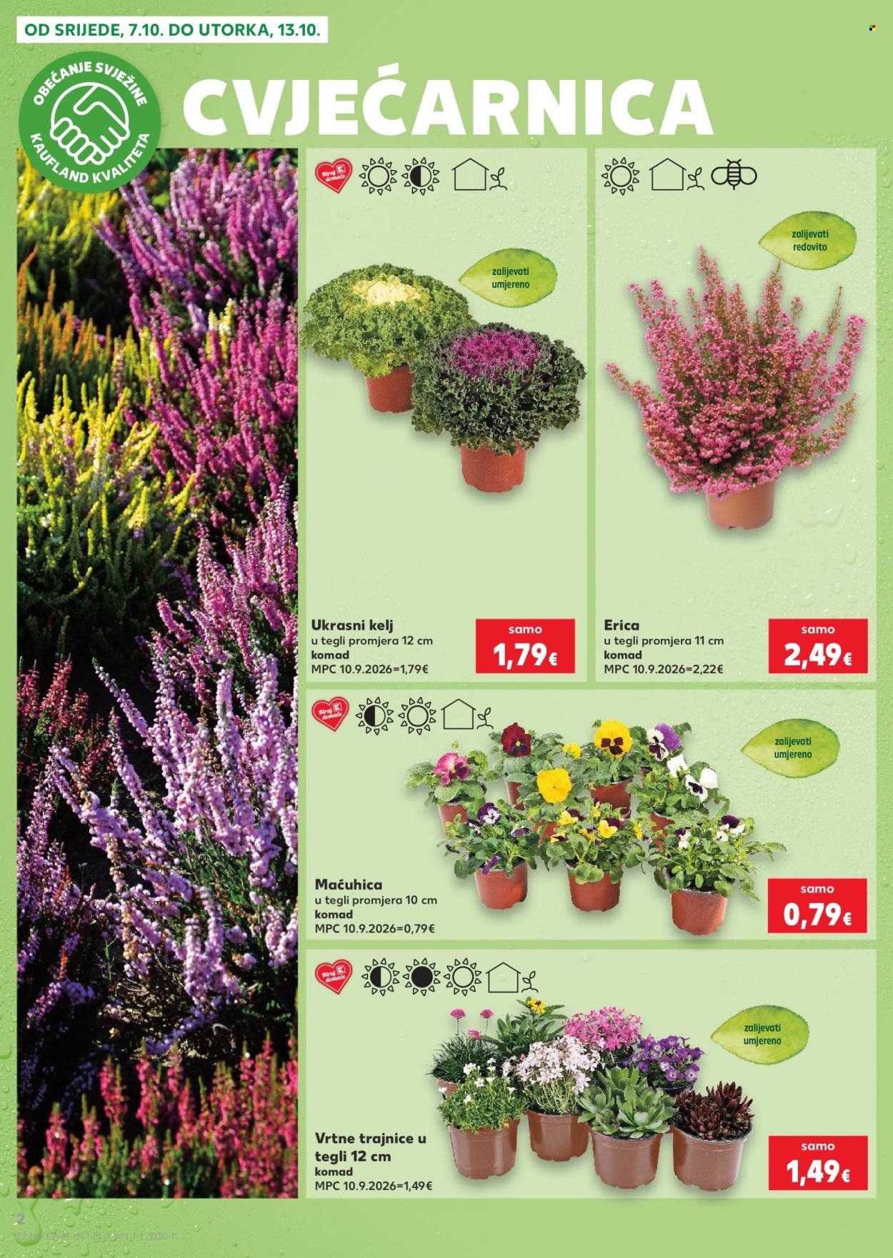 KAUFLAND katalog - Od srijede 07.10.2026.
