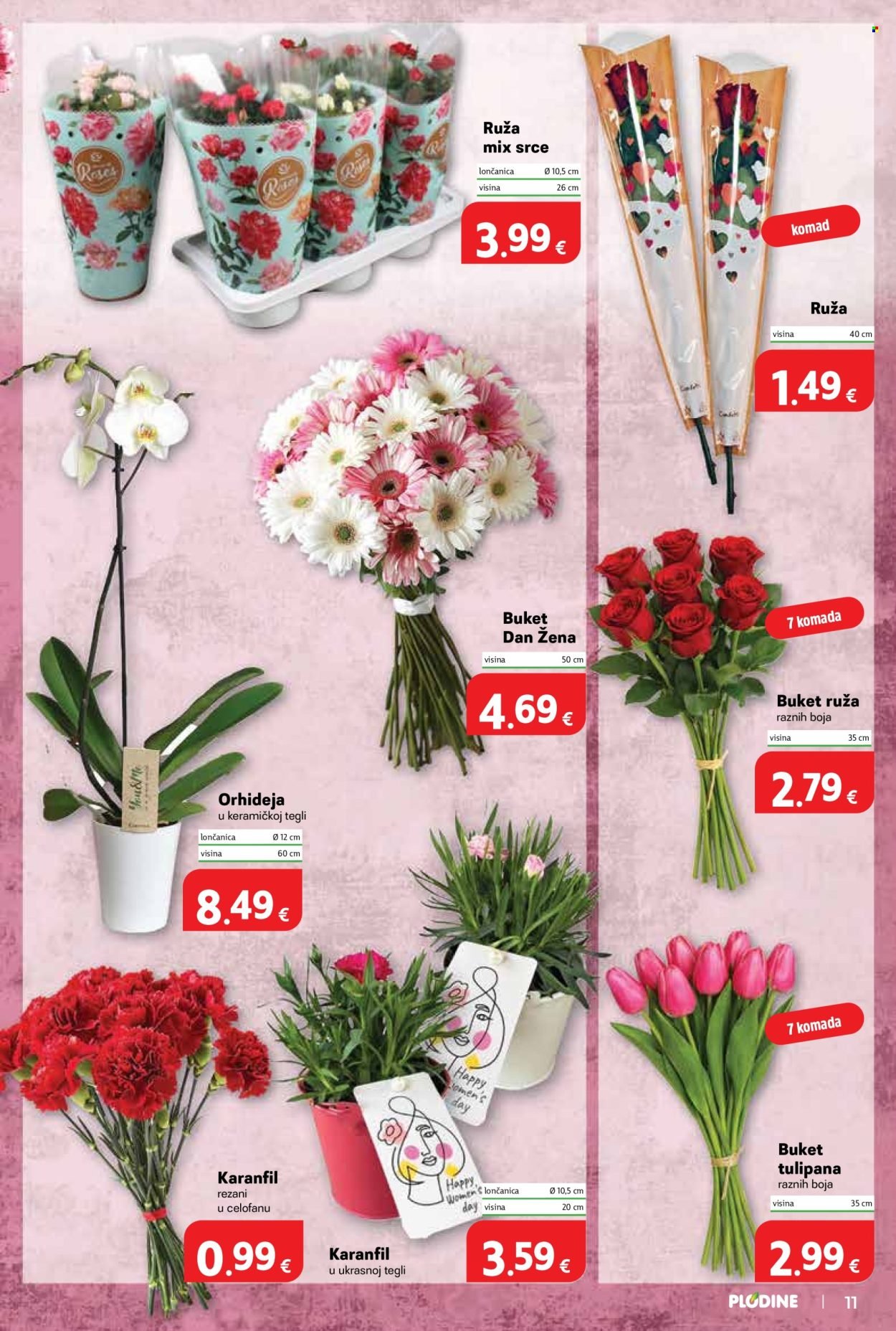 PLODINE katalog - Od srijede 04.03.2026.