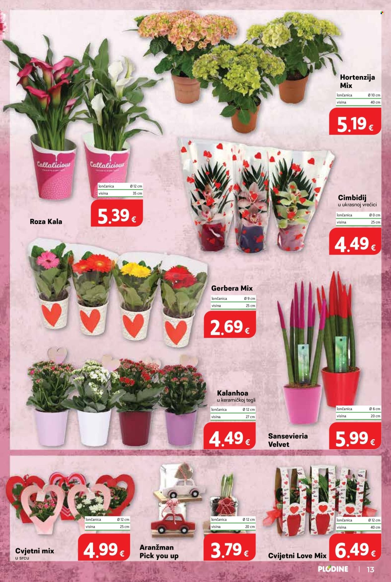 PLODINE katalog - Od srijede 04.03.2026.