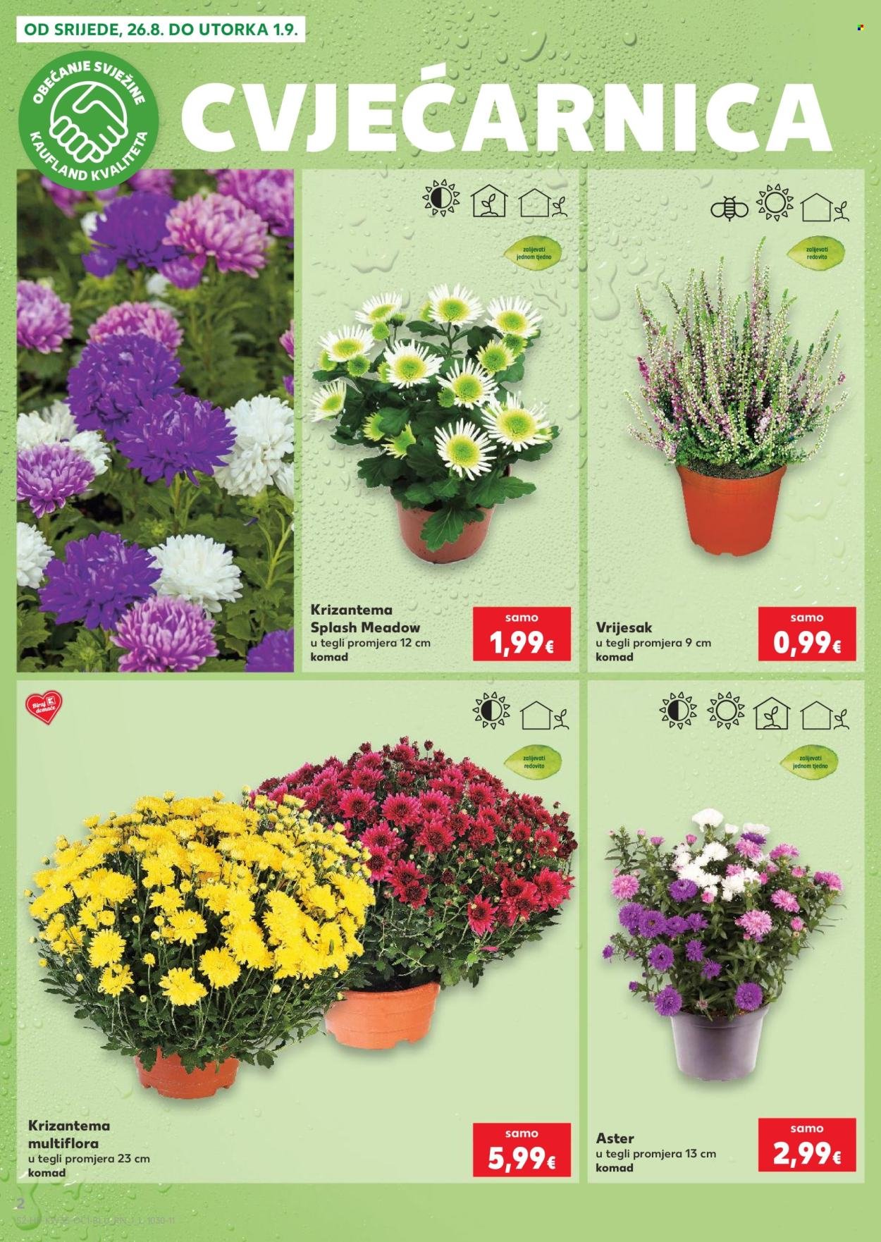 KAUFLAND katalog - Od srijede 26.08.2026.