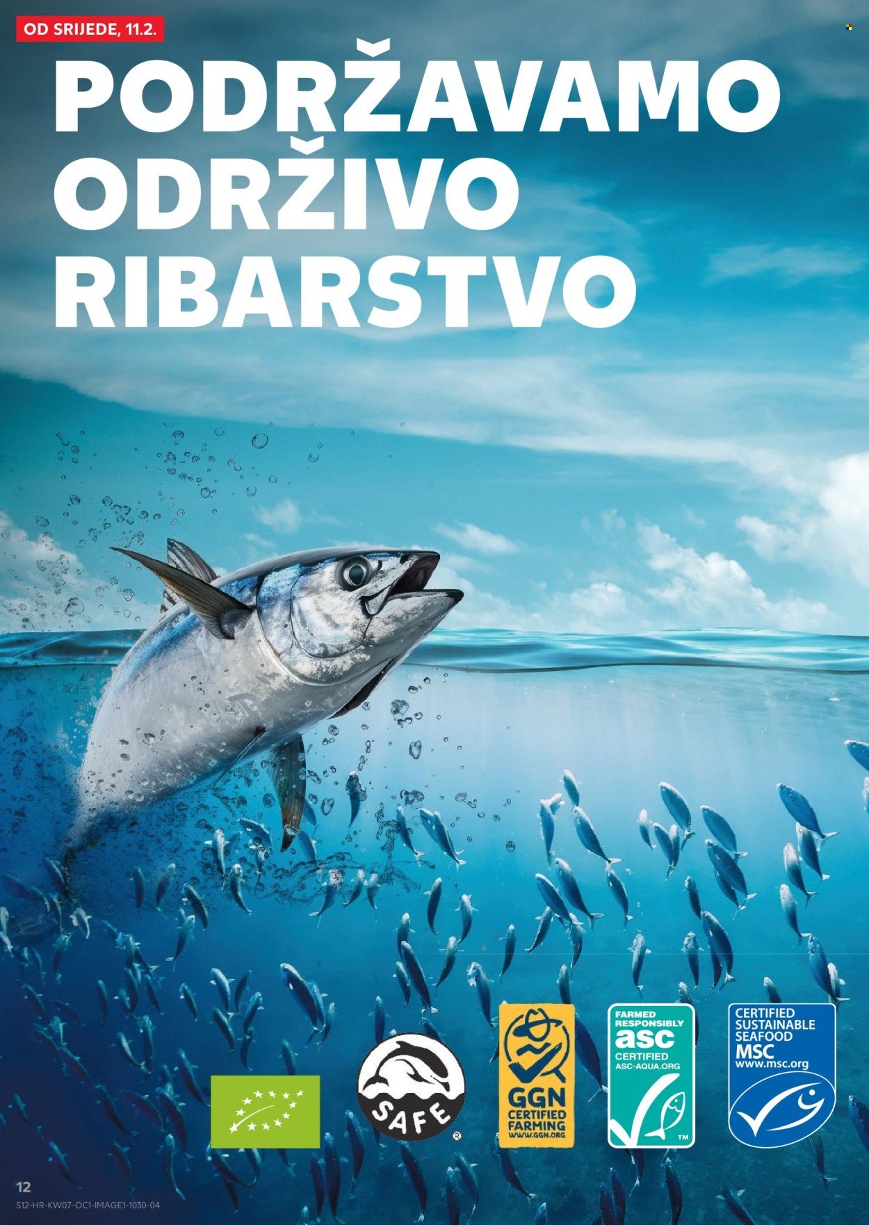 KAUFLAND katalog - Od srijede 11.02.2026.