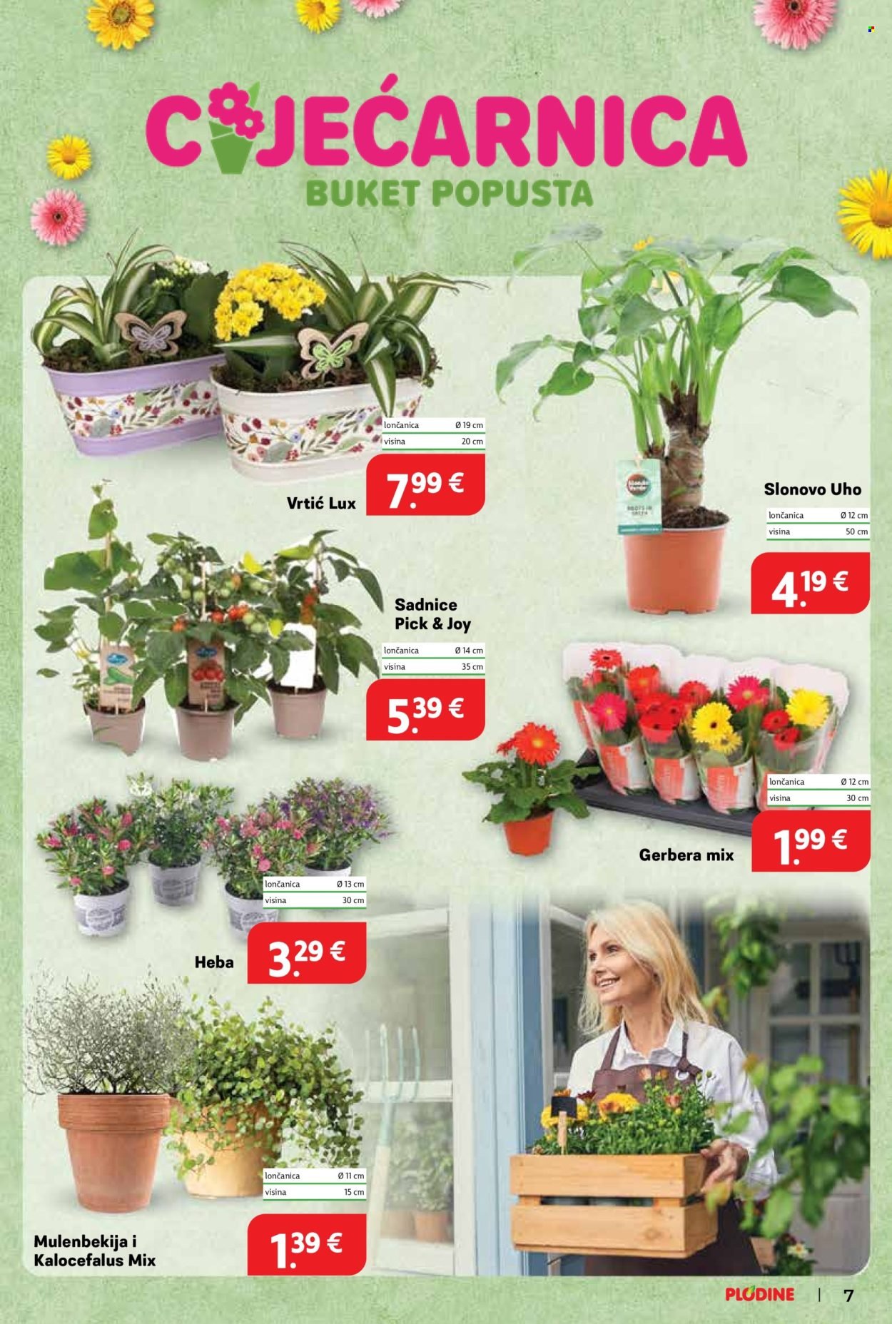 PLODINE katalog - Od srijede 20.08.2025.