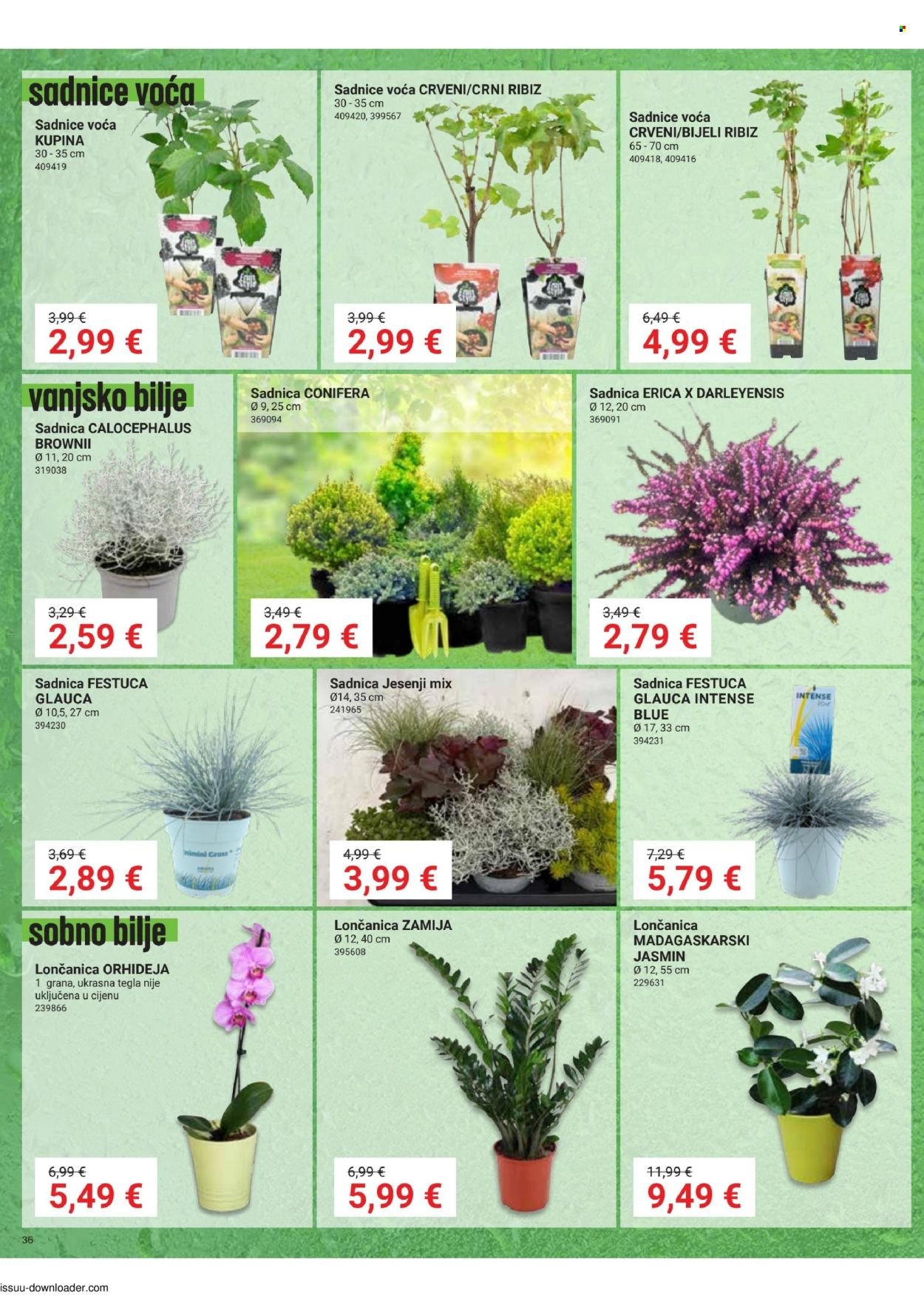 PEVEX katalog - Od četvrtka 24.09.2026.