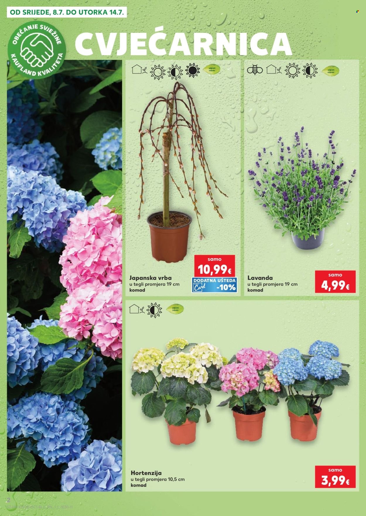 KAUFLAND katalog - ISTE CIJENE NA KOPNU I MORU