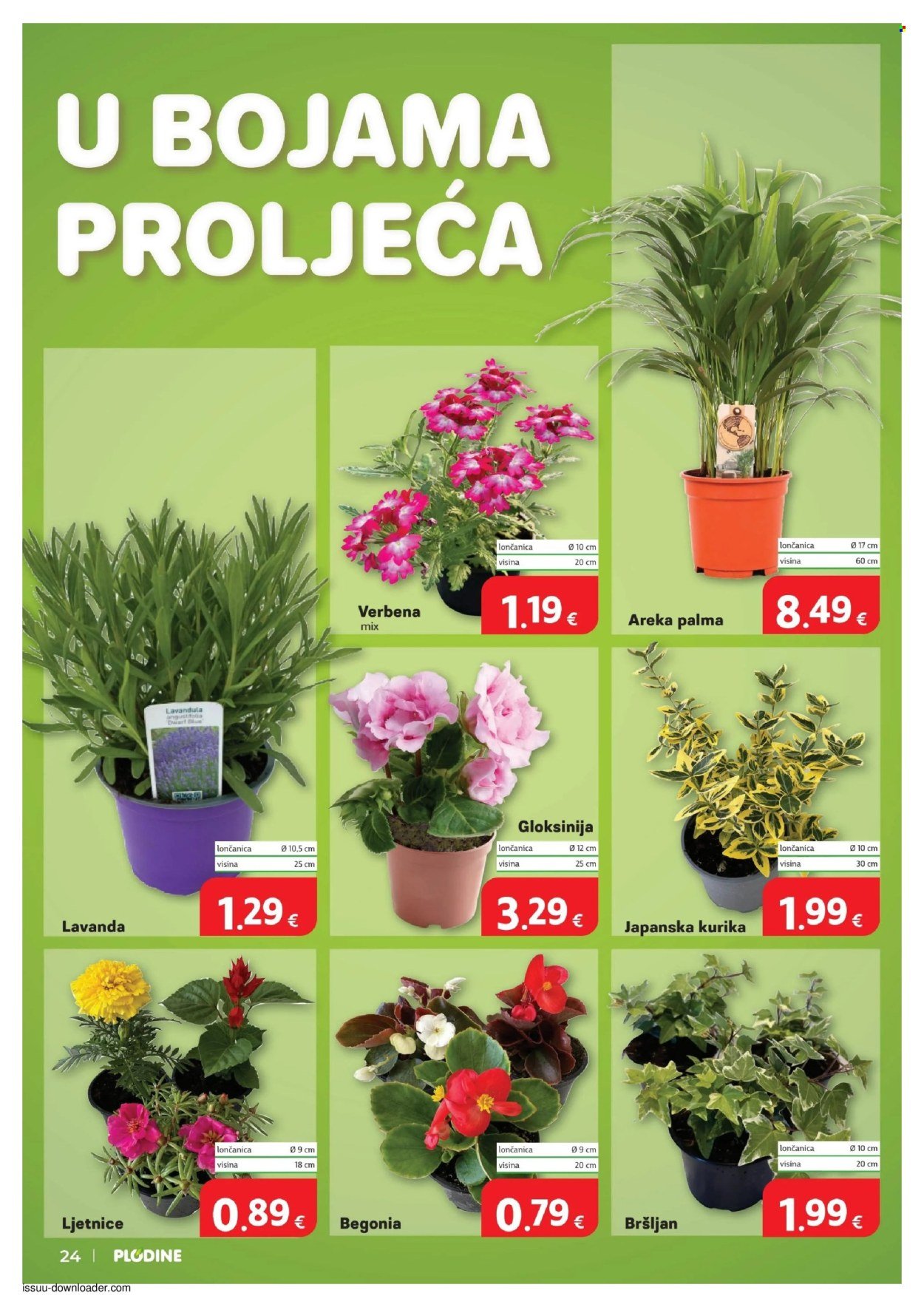 PLODINE katalog - Od srijede 13.05.2026.