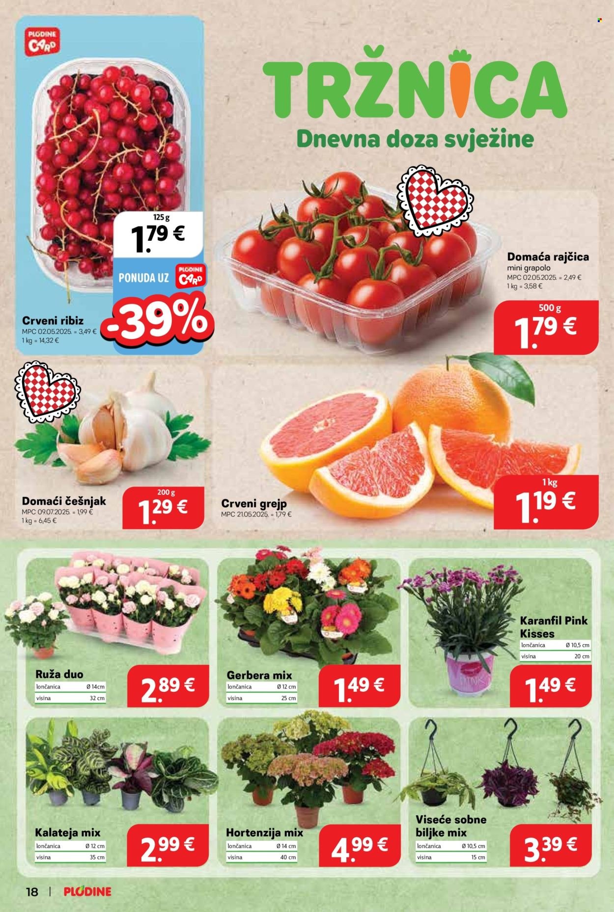 PLODINE katalog - Od srijede 23.07.2025.
