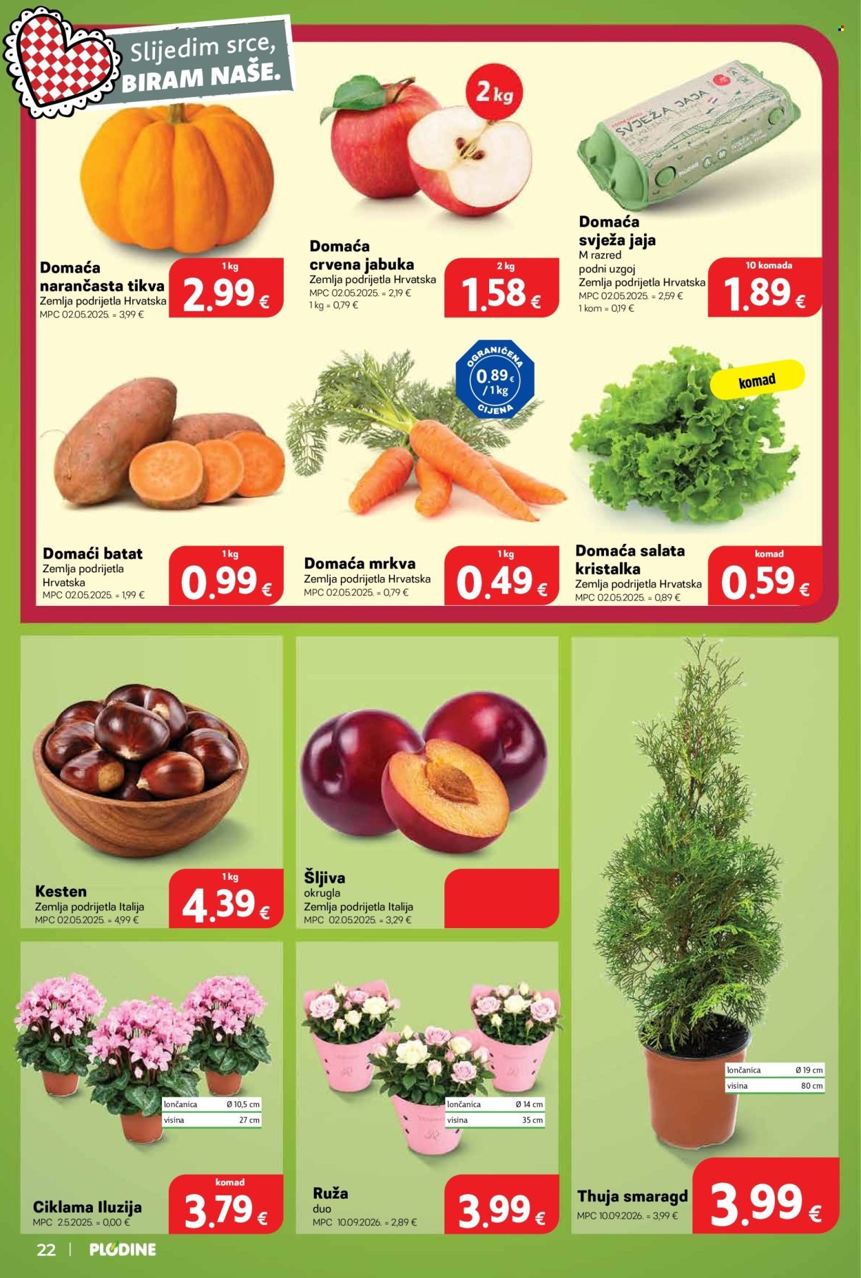 PLODINE katalog - Od srijede 28.10.2026.