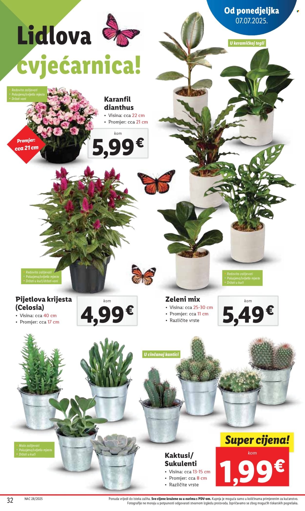LIDL katalog - Od četvrtka 10.07.2025.
