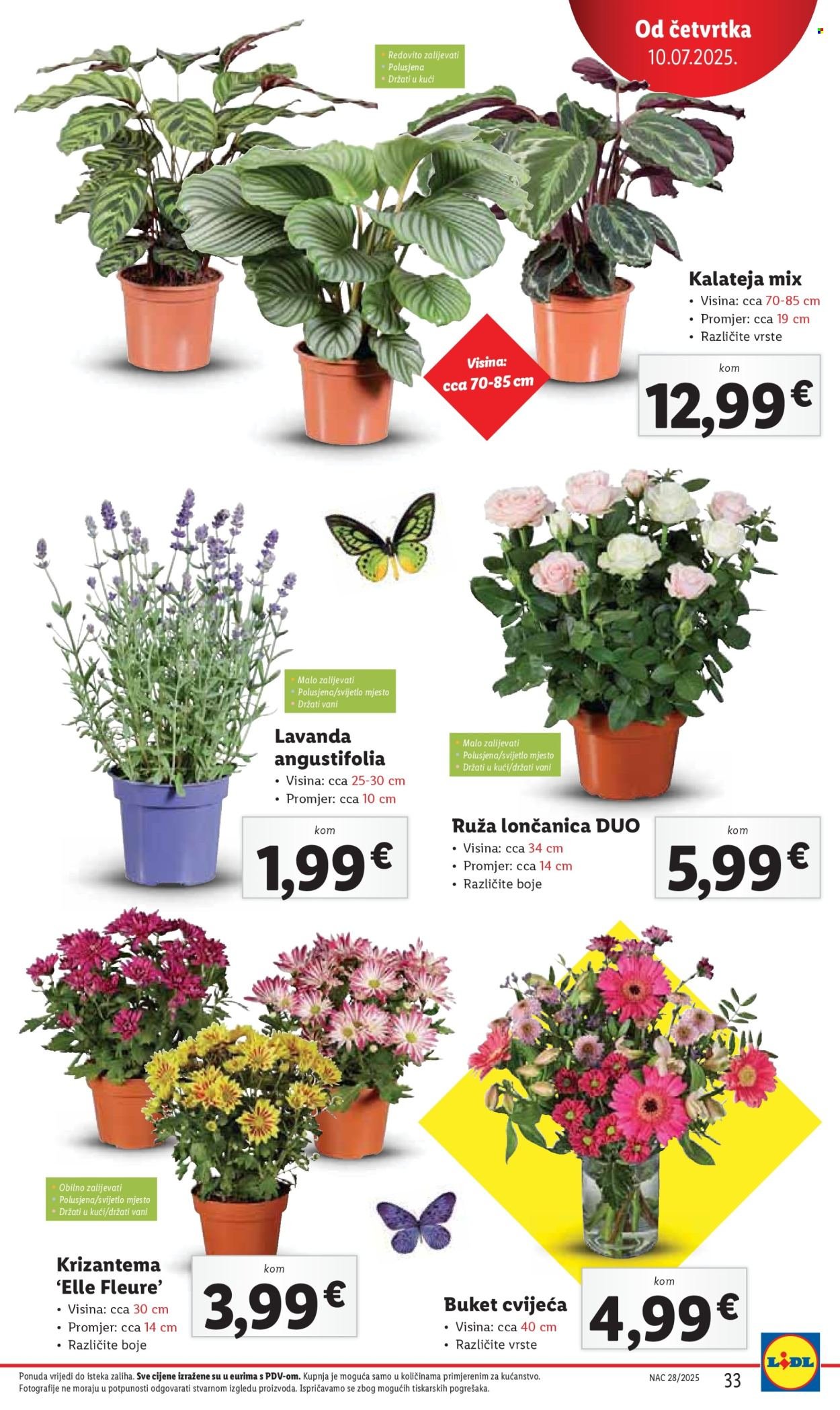 LIDL katalog - Od četvrtka 10.07.2025.