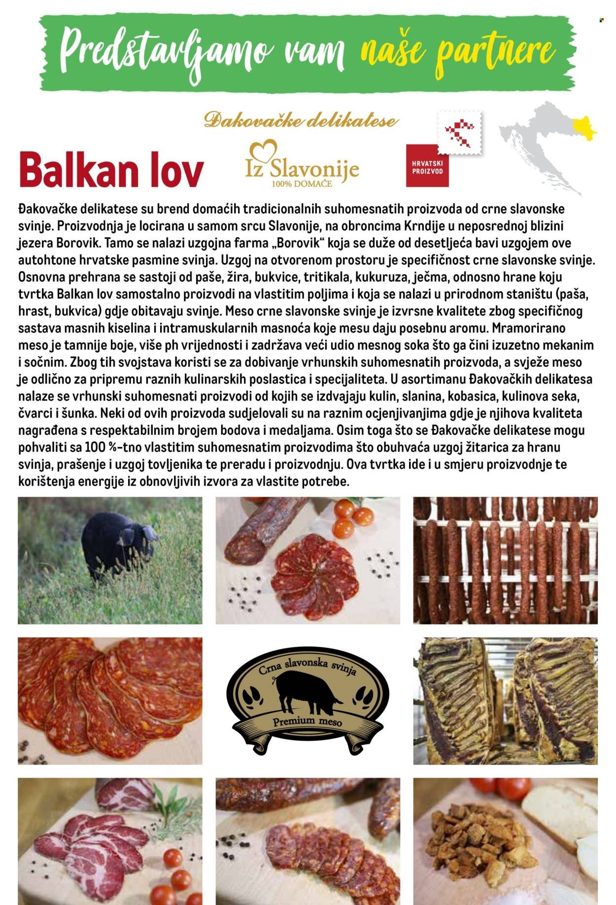 METRO katalog - Profesionalna rješenja za ugostiteljstvo