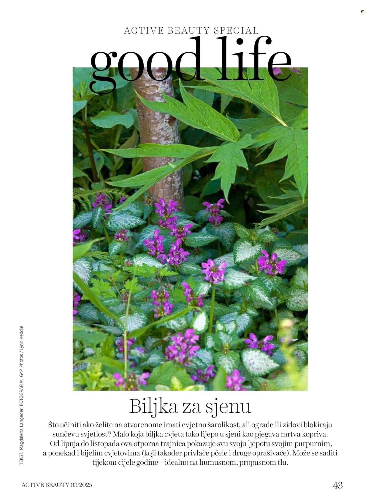 DM katalog - ACTIVE BEAUTY časopis