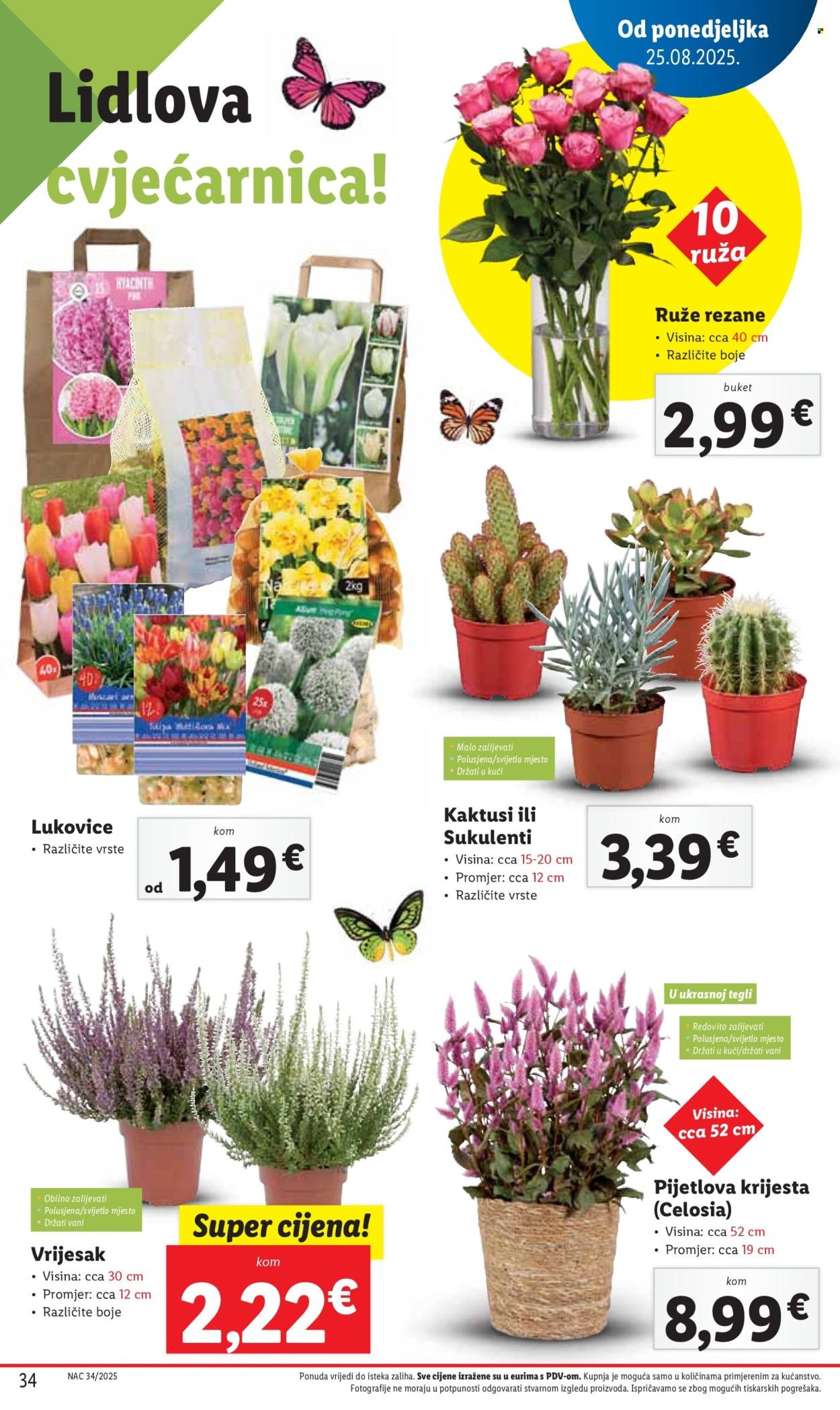 LIDL katalog - Od četvrtka 28.08.2025.