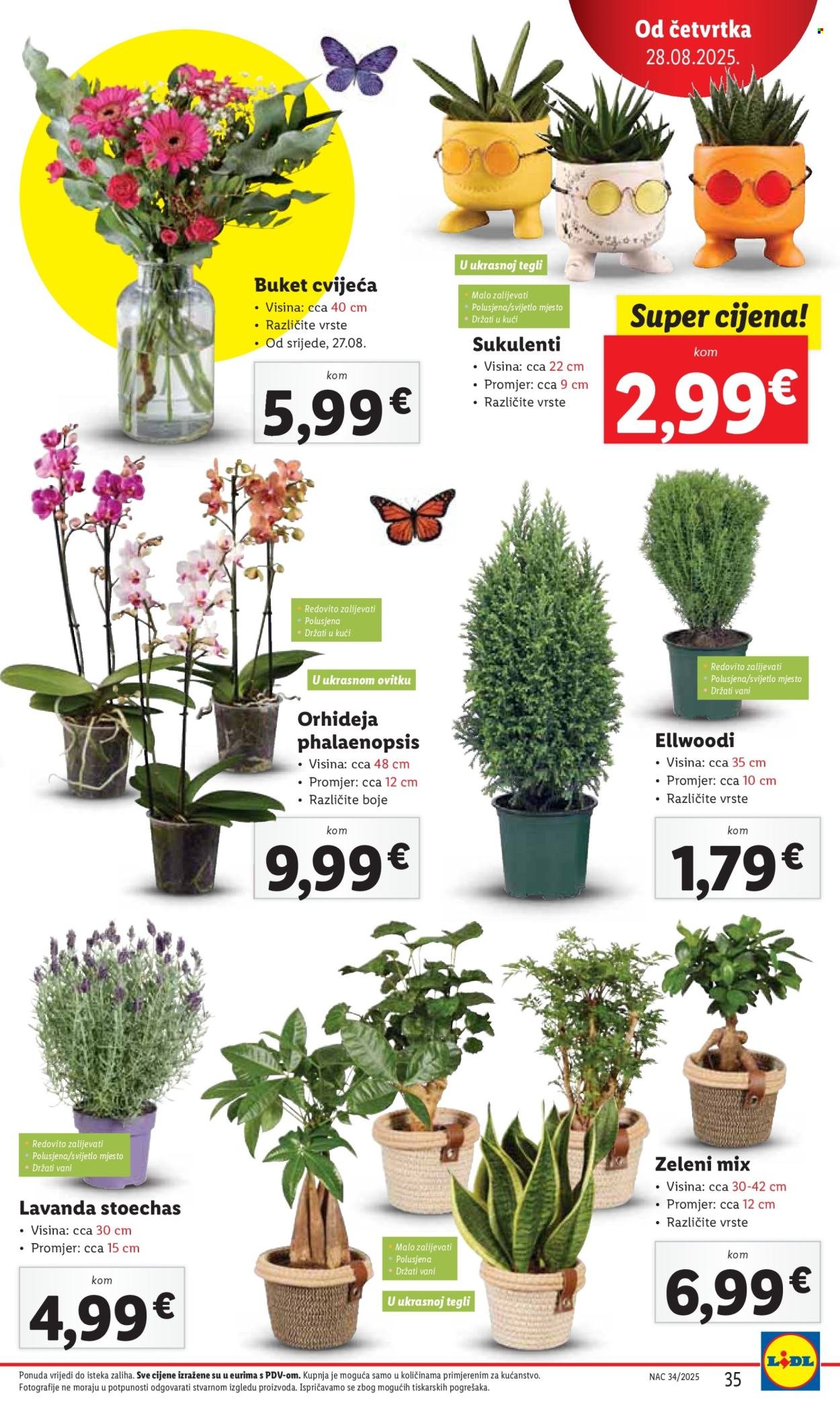 LIDL katalog - Od četvrtka 28.08.2025.